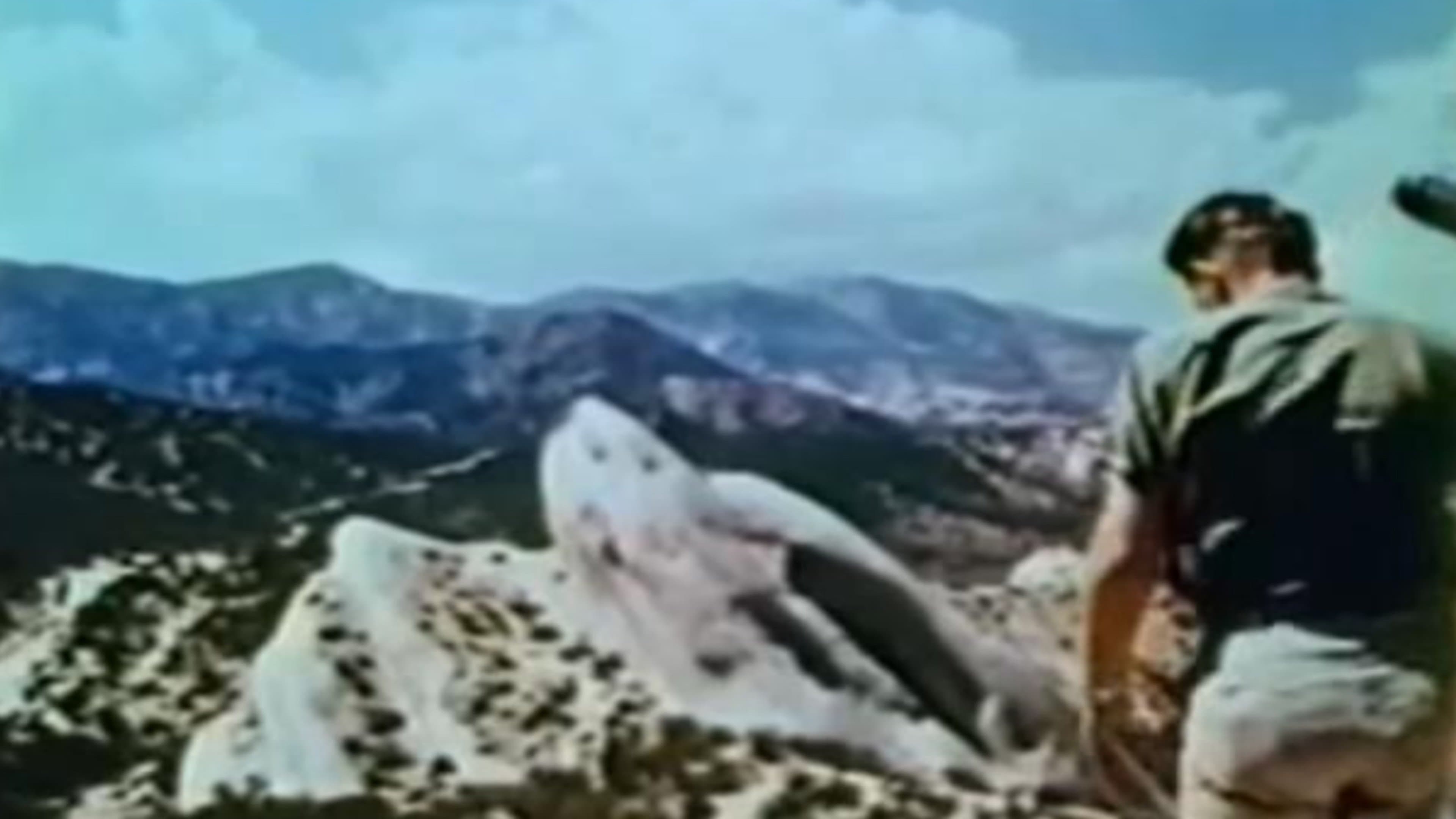 Teenagers Battle the Thing