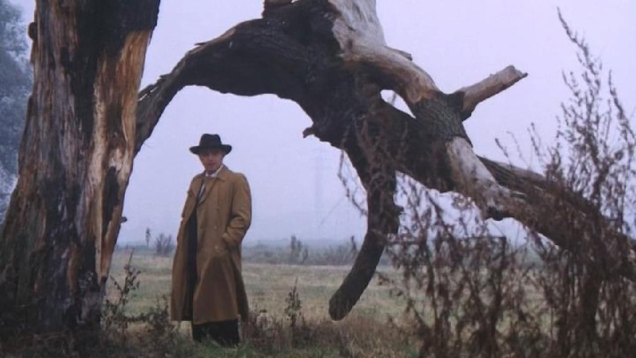 Tenderness of the Wolves