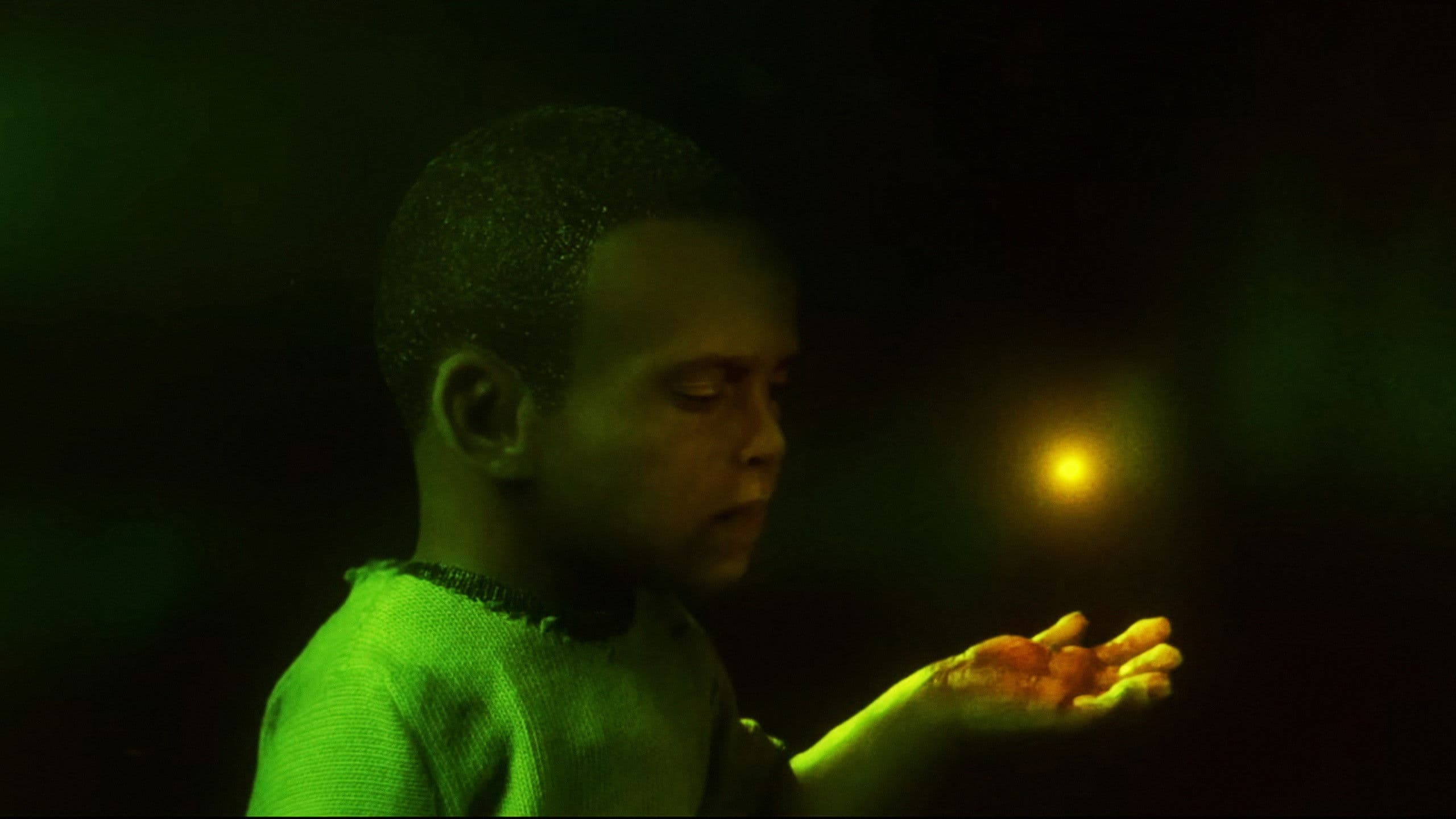 Remember To Enjoy The Light Before It’s Gone