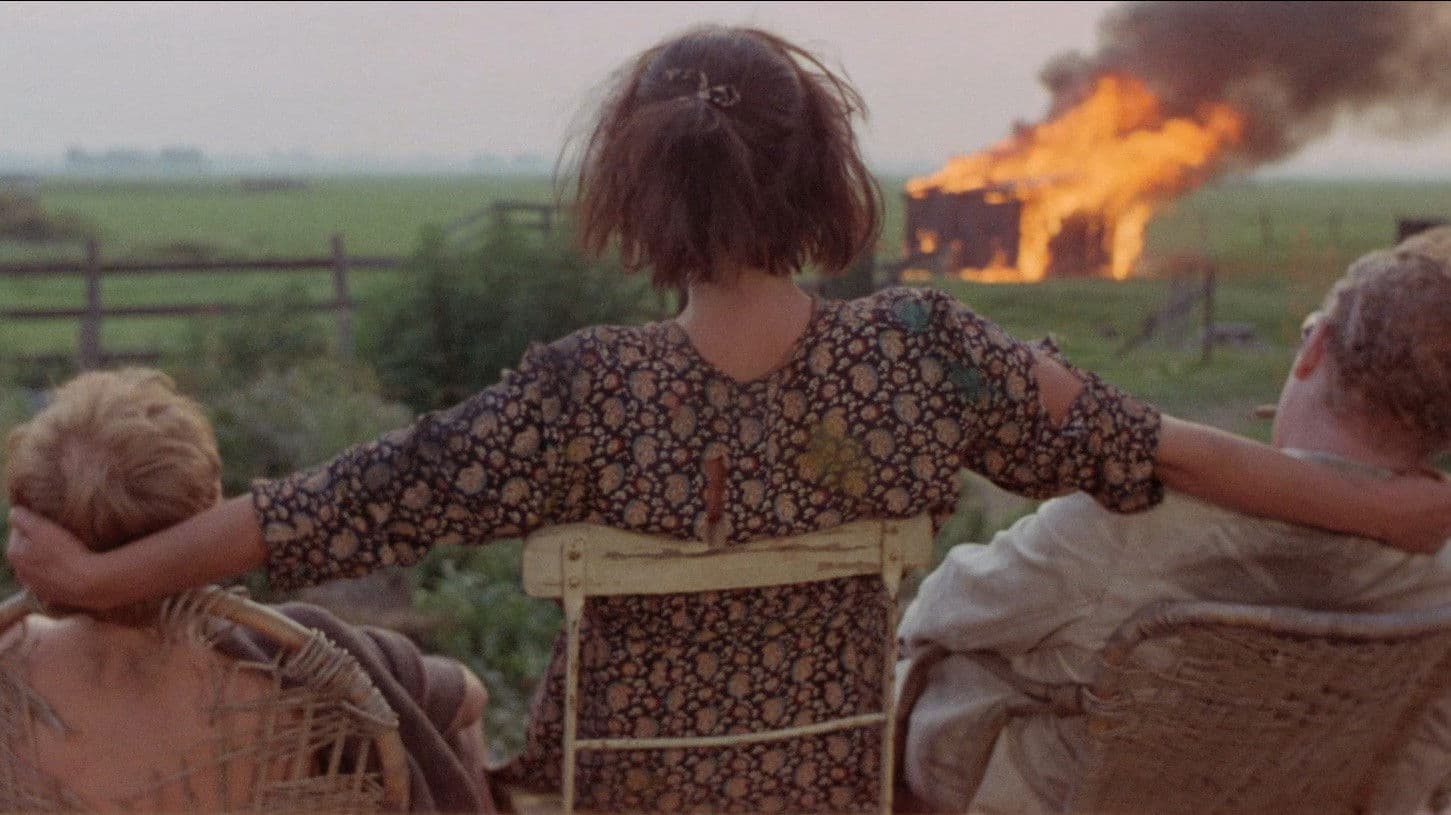 My Nights with Susan, Sandra, Olga & Julie