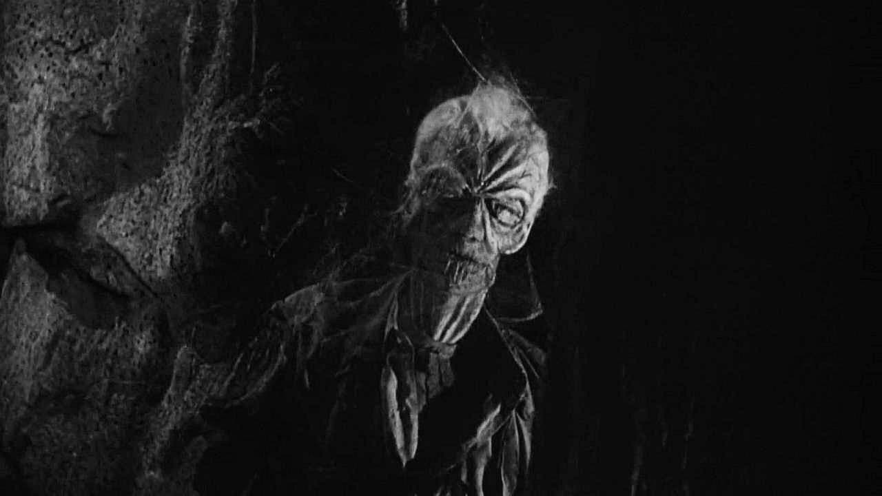 Earth vs. the Spider