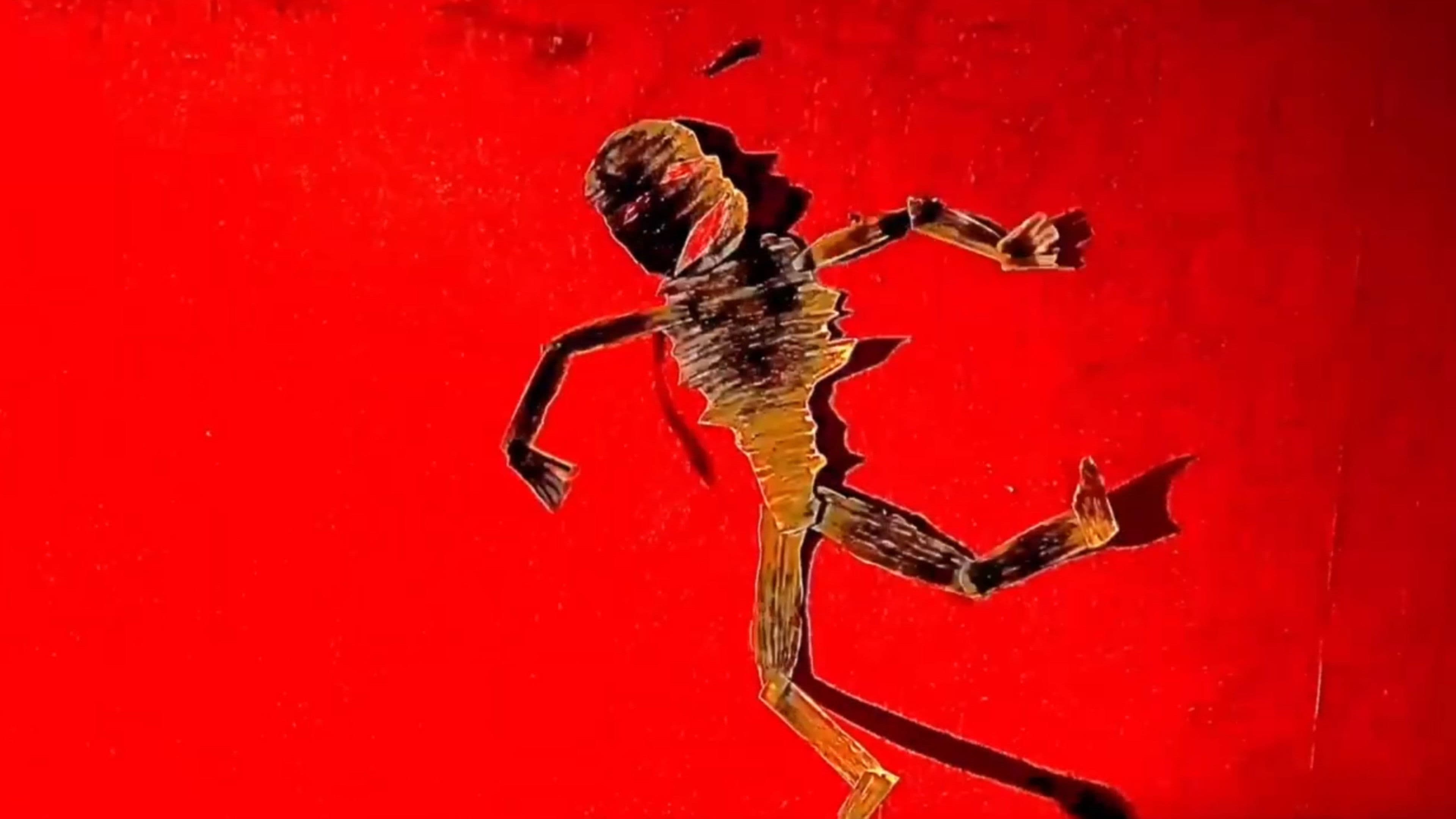 Sokoto in the CannibalCafe