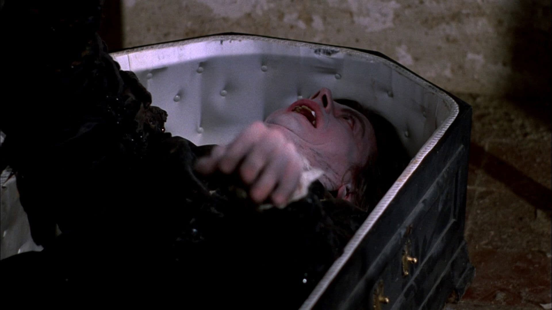 The Lively Vampires of Vögel