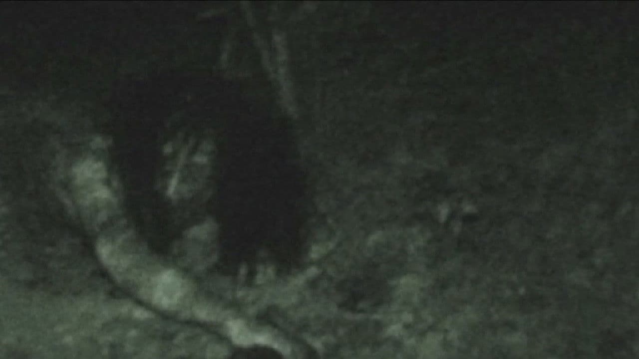 Senritsu Kaiki File Kowasugi! File 03: Legend of a Human-Eating Kappa