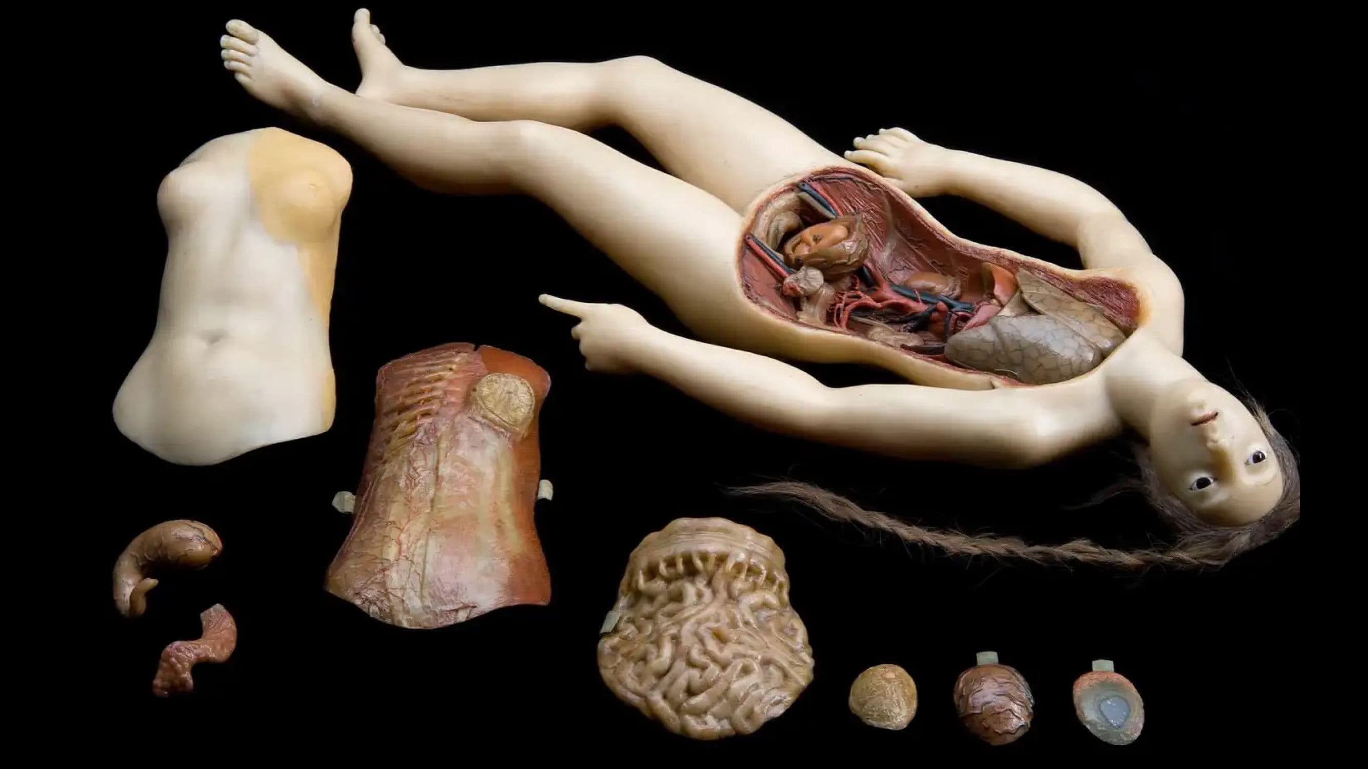 Four Unloved Women, Adrift on a Purposeless Sea, Experience the Ecstasy of Dissection