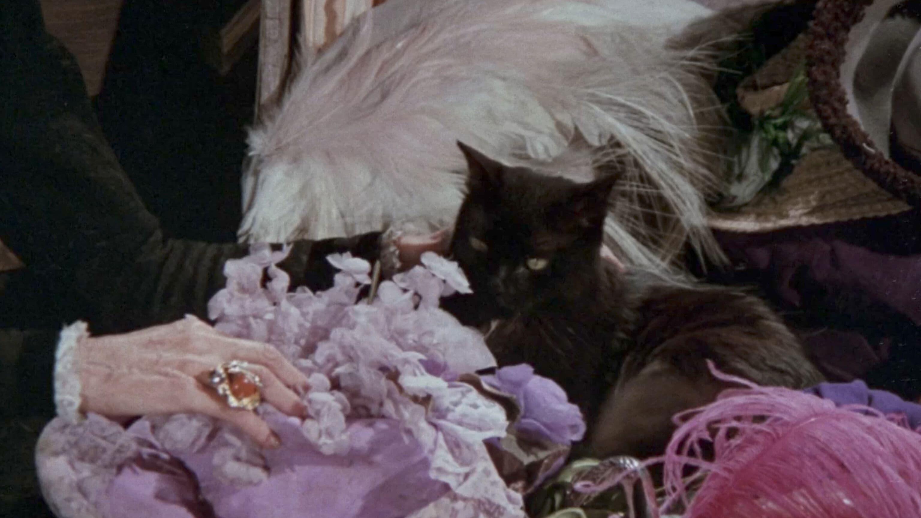 Blacker Than the Night