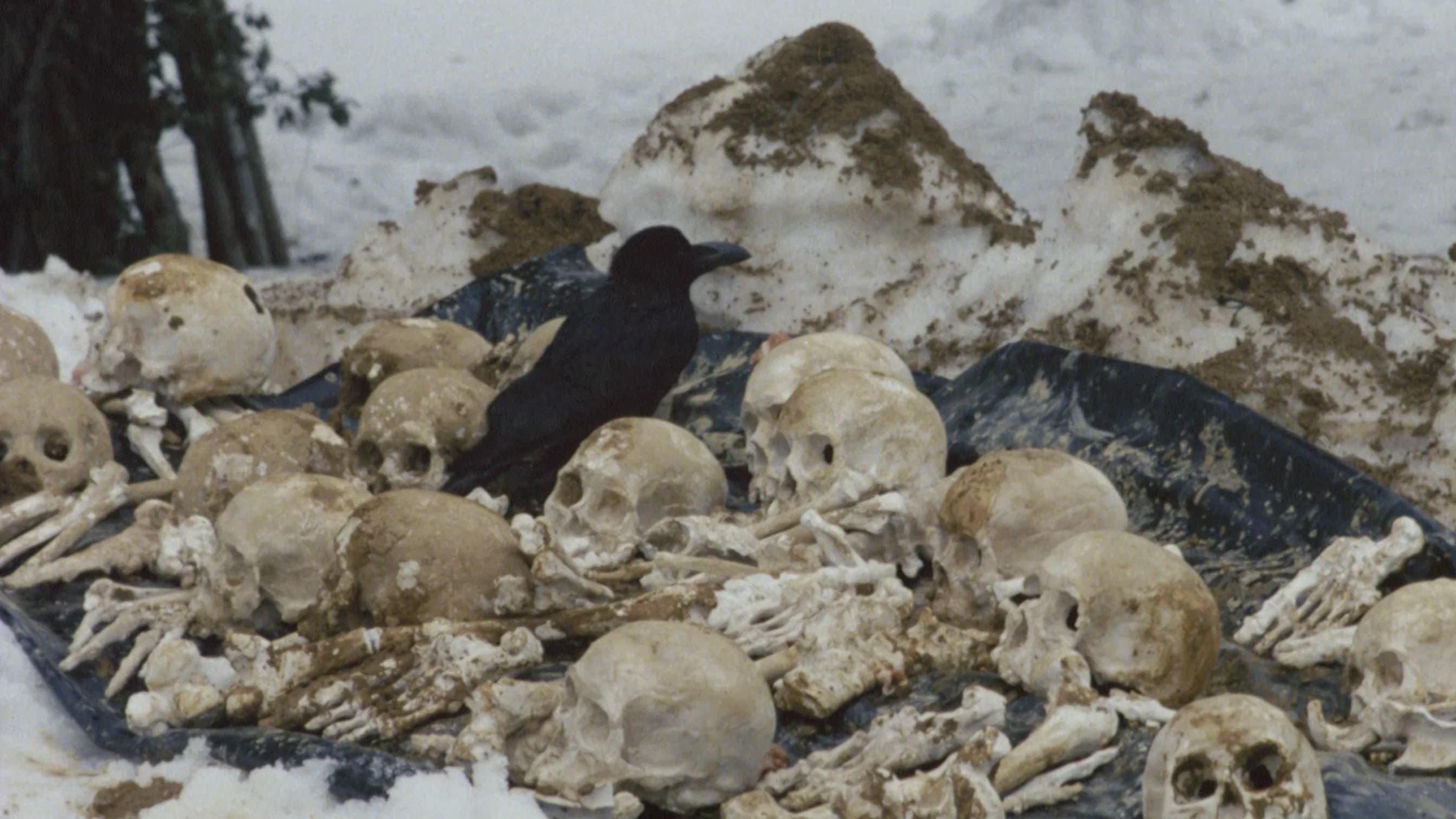 Cursed Village in Yudono Mountains