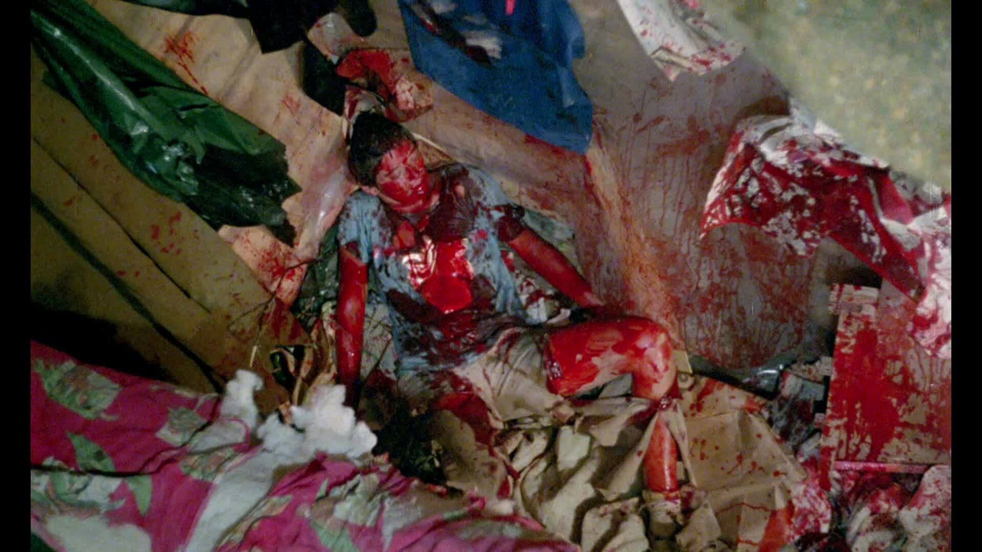 Don't Go in the Woods