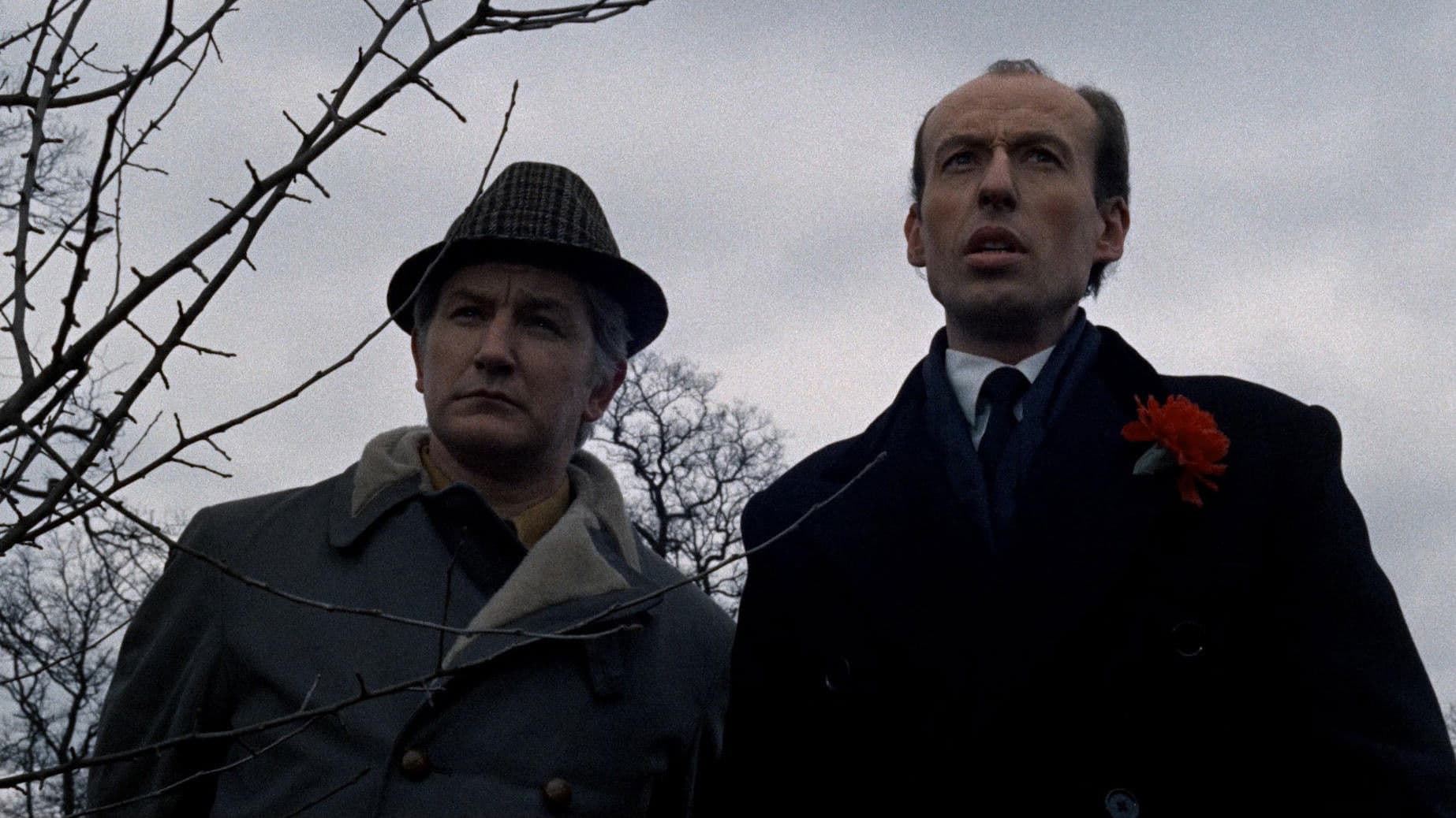 The Beast in the Cellar