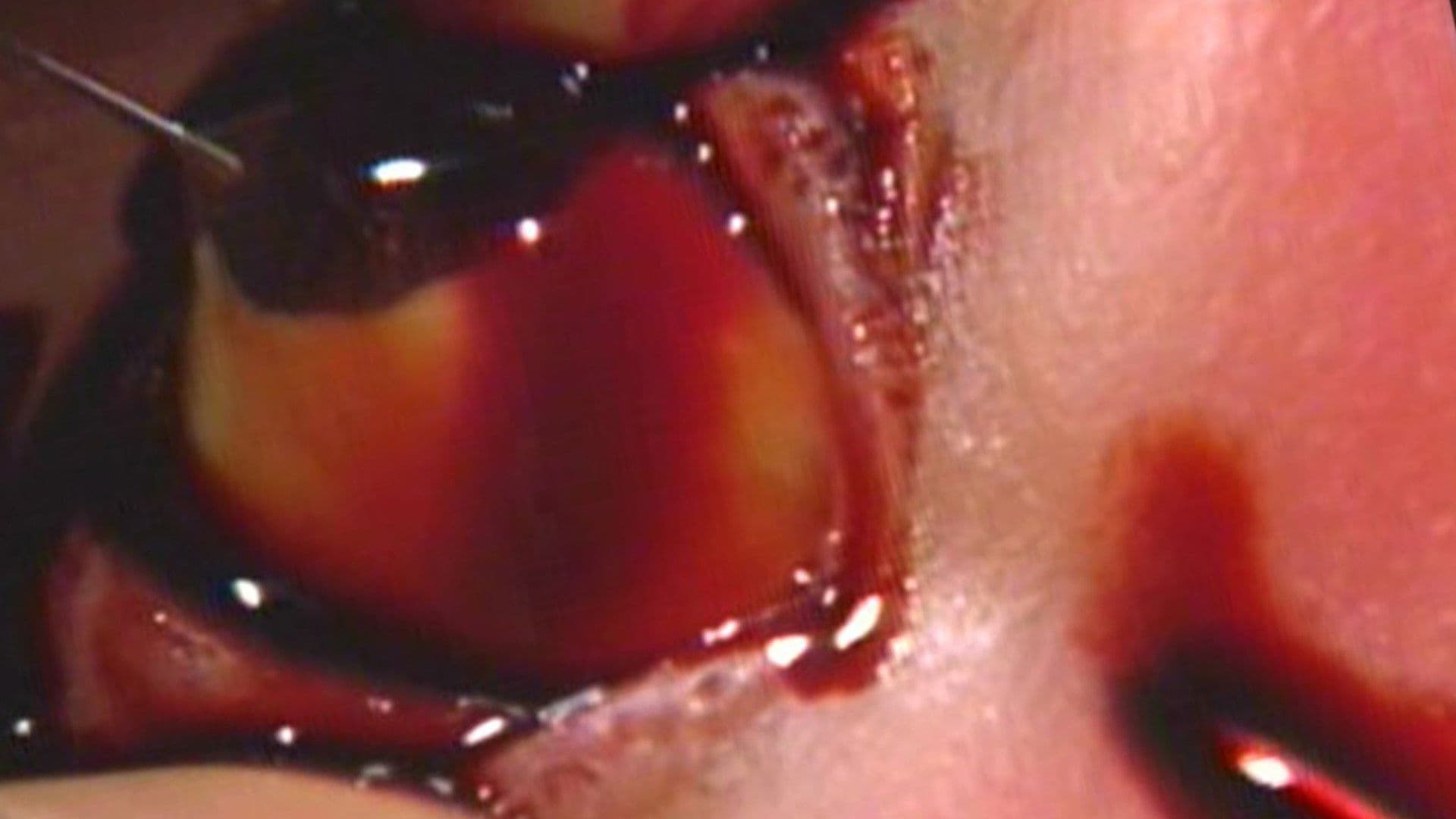 Guinea Pig: Devil's Experiment