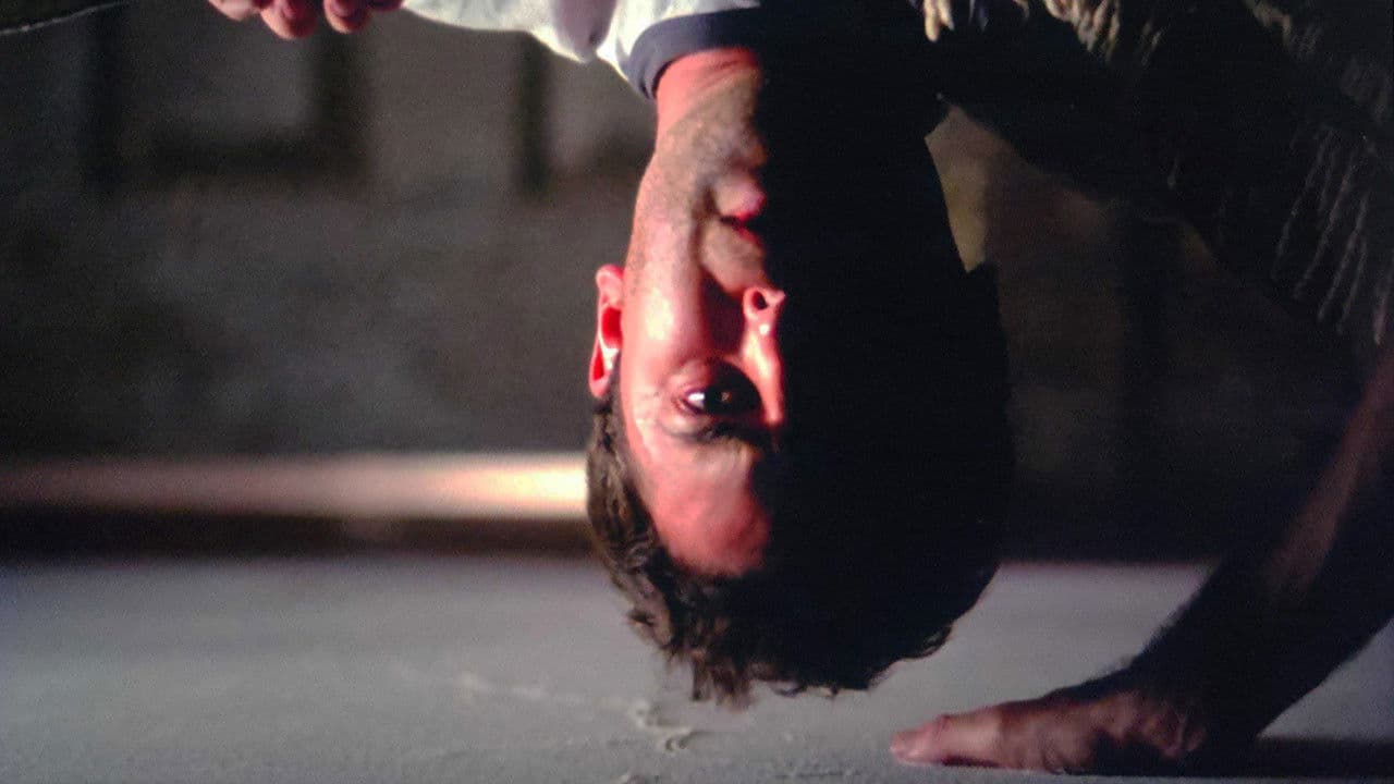 Dreams in the Witch House