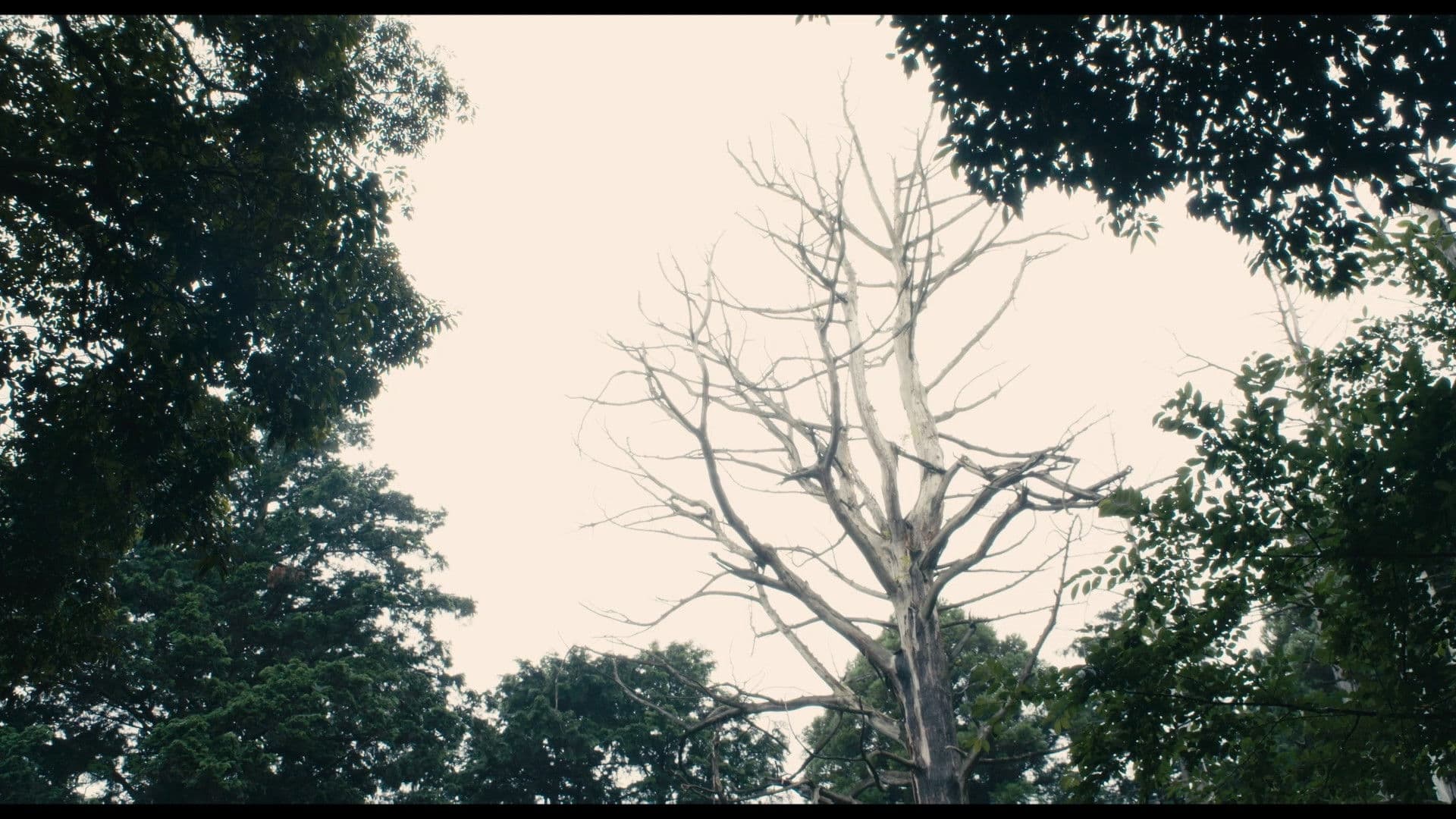 The Day of Destruction