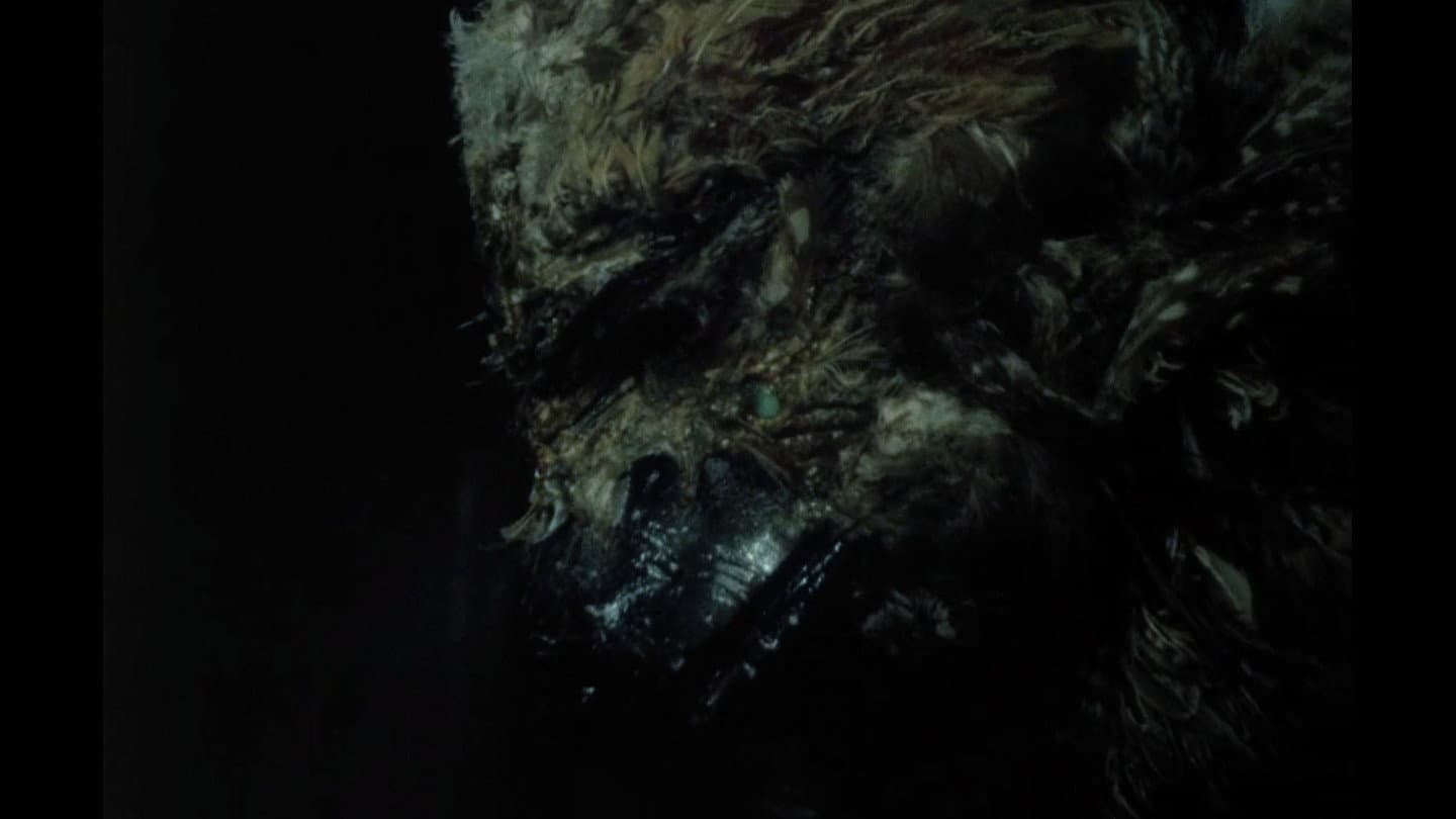 Beauty and the Beast