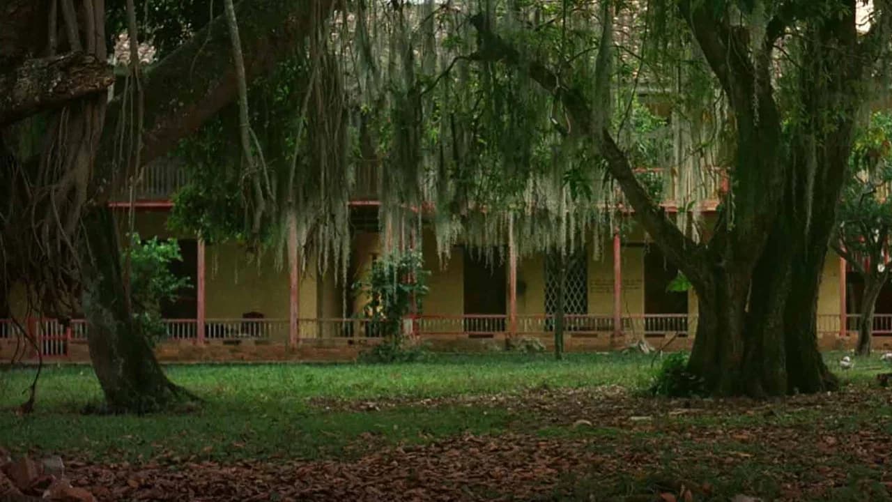The Manor of Araucaima