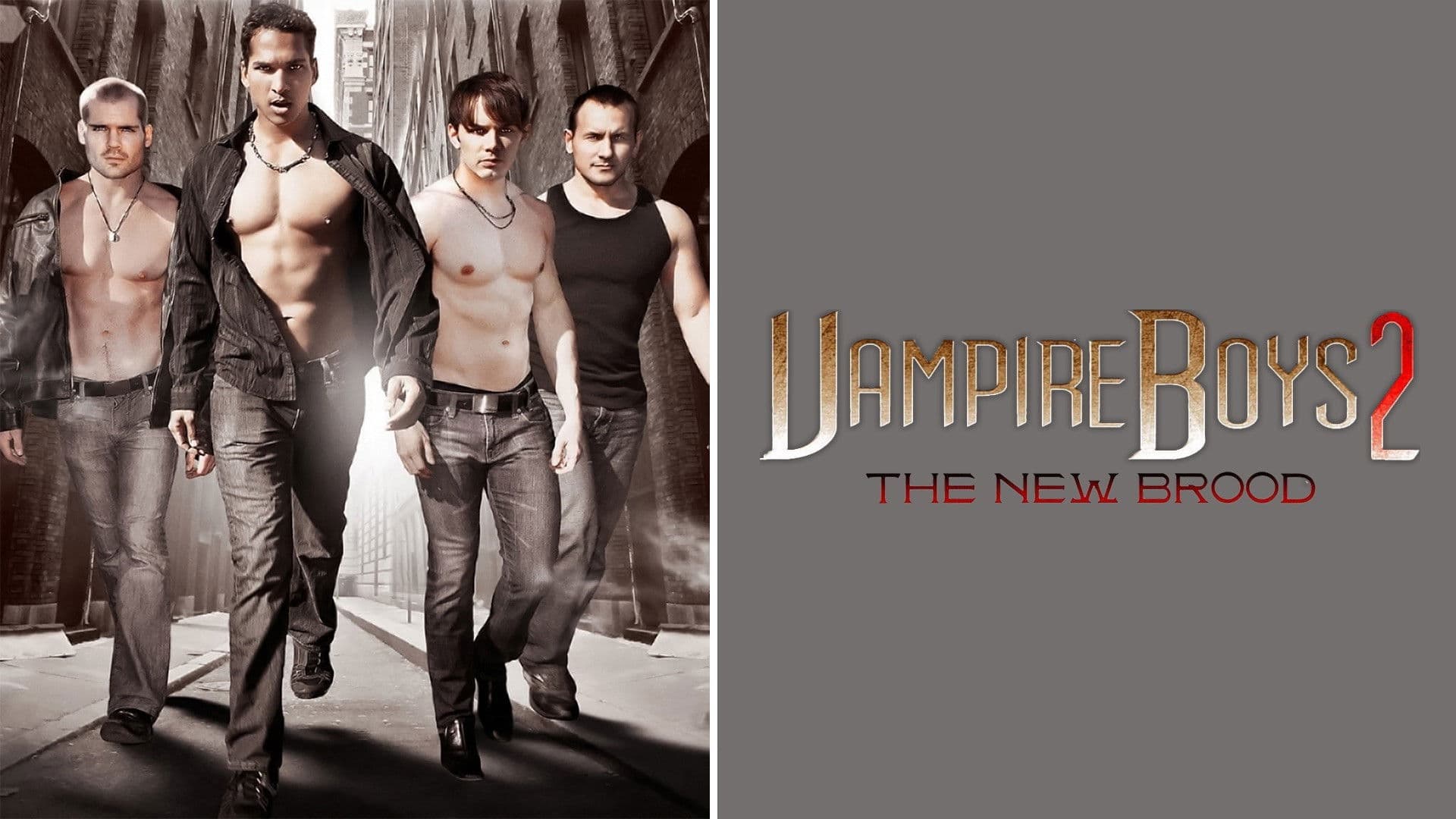 Vampire Boys 2: The New Brood