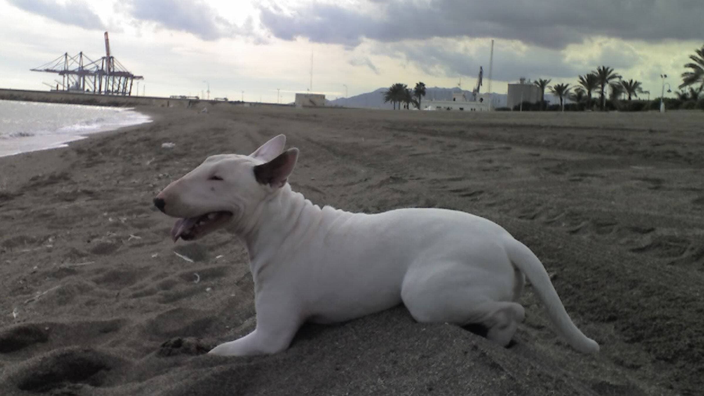 Baxter