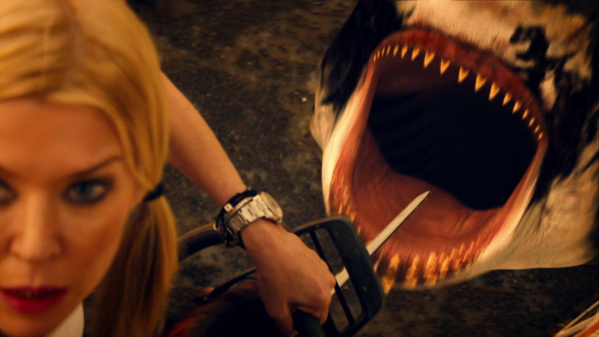 Trailer Park Shark