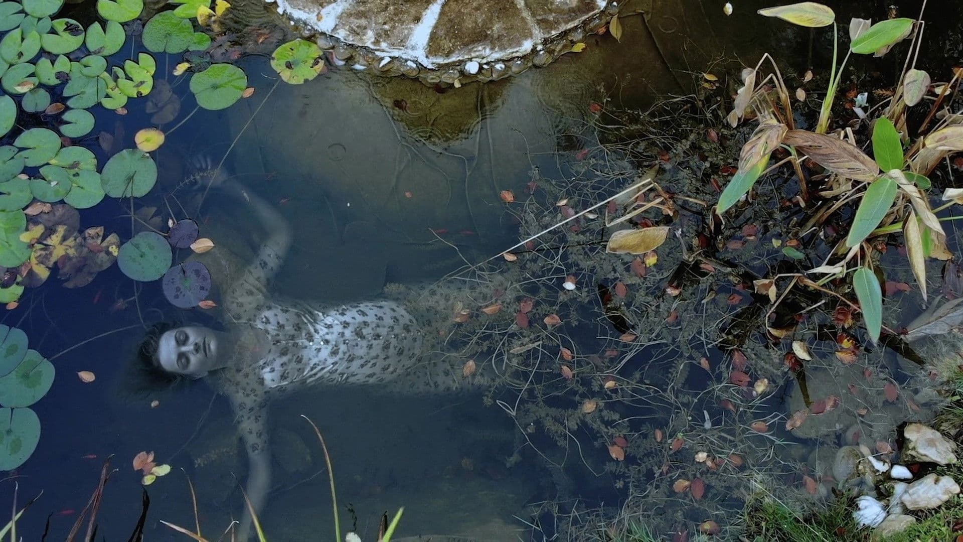 Funeral: I Don't Want You