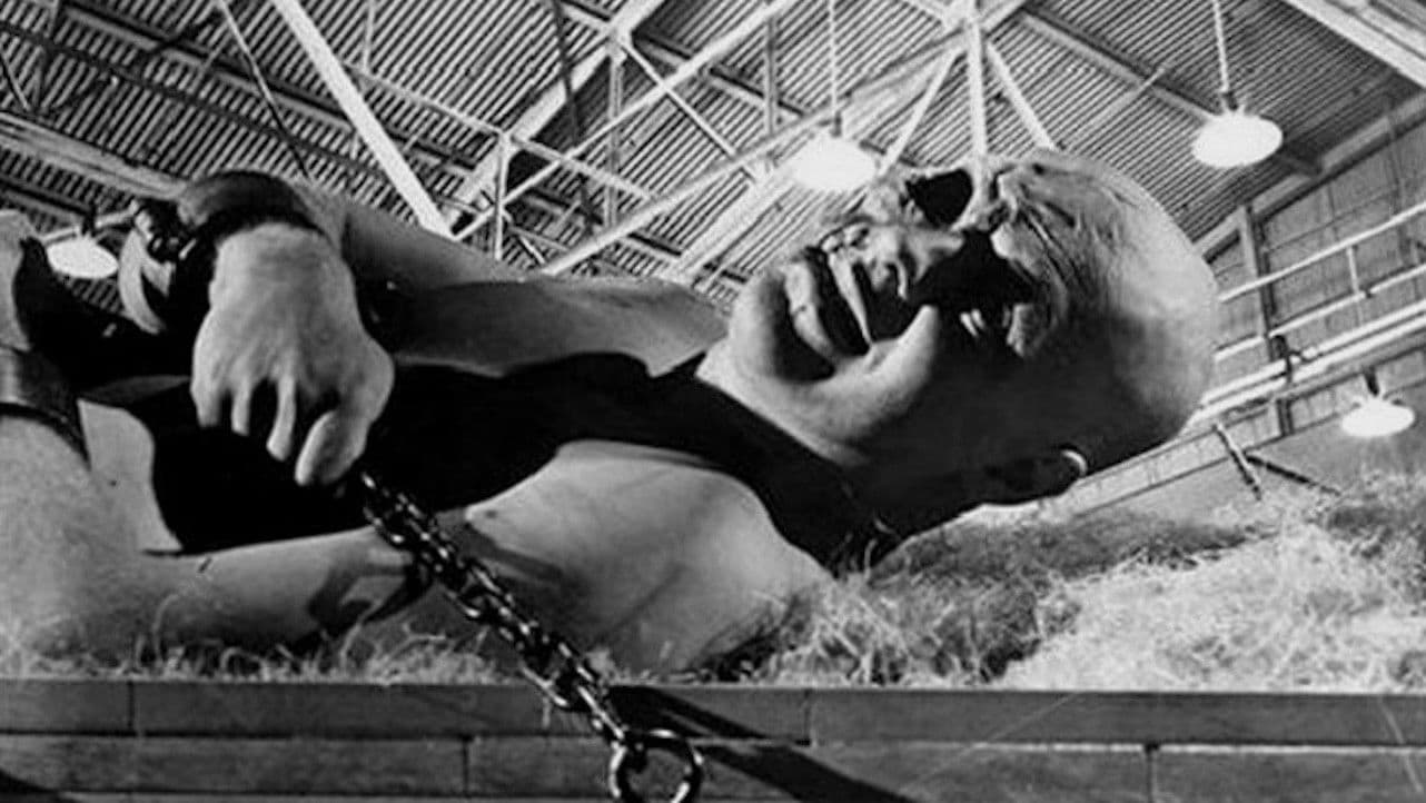 War of the Colossal Beast