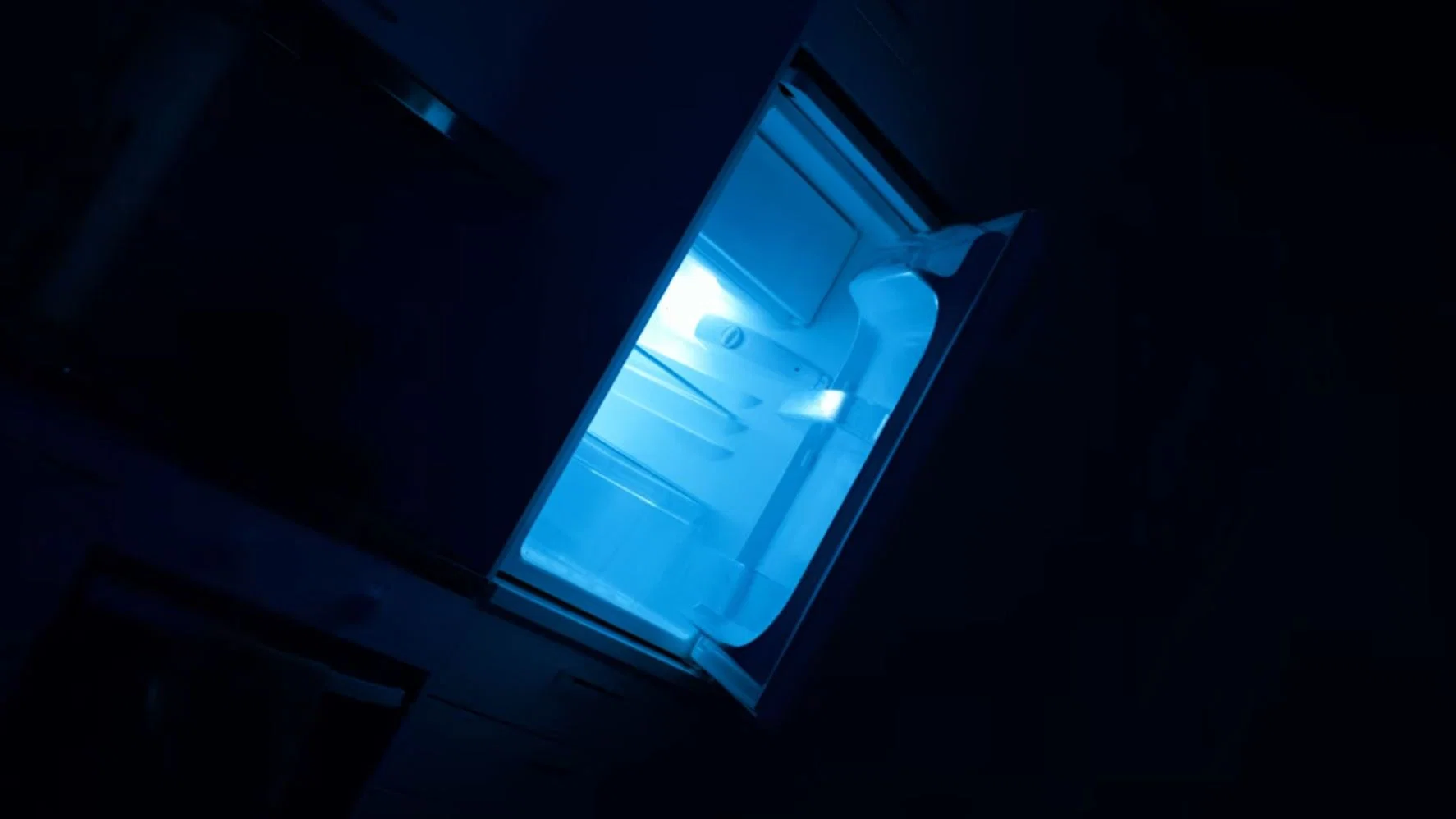 The Fridge