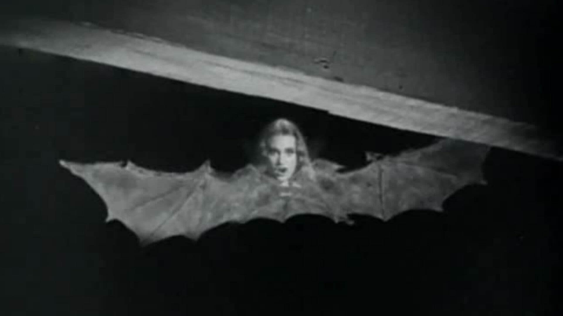 The World of the Vampires