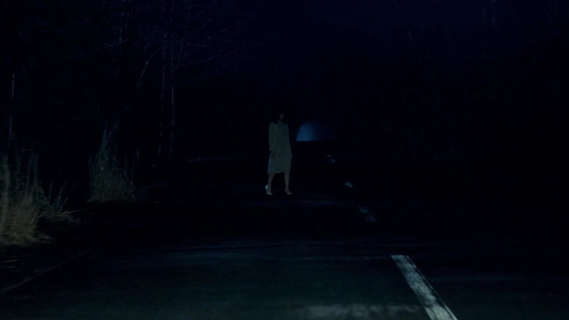 Shutter