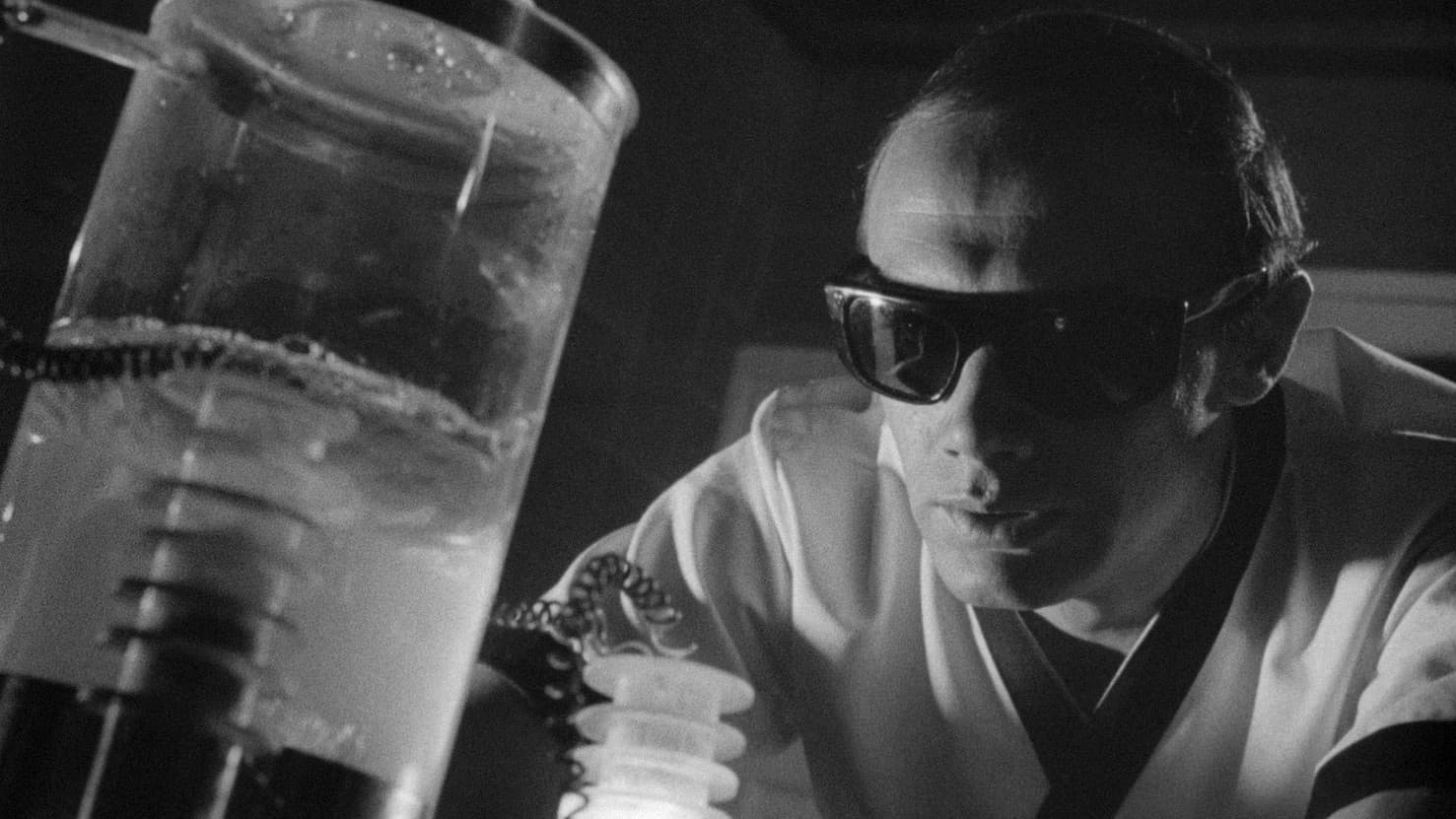 The Curious Dr. Humpp