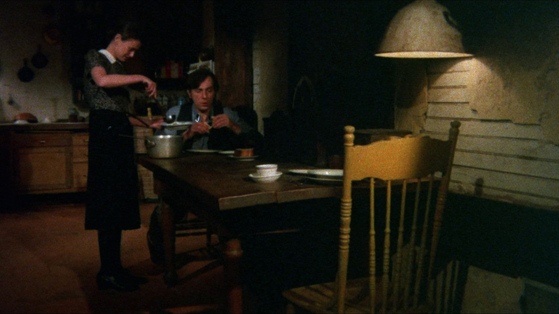 Memories Within Miss Aggie