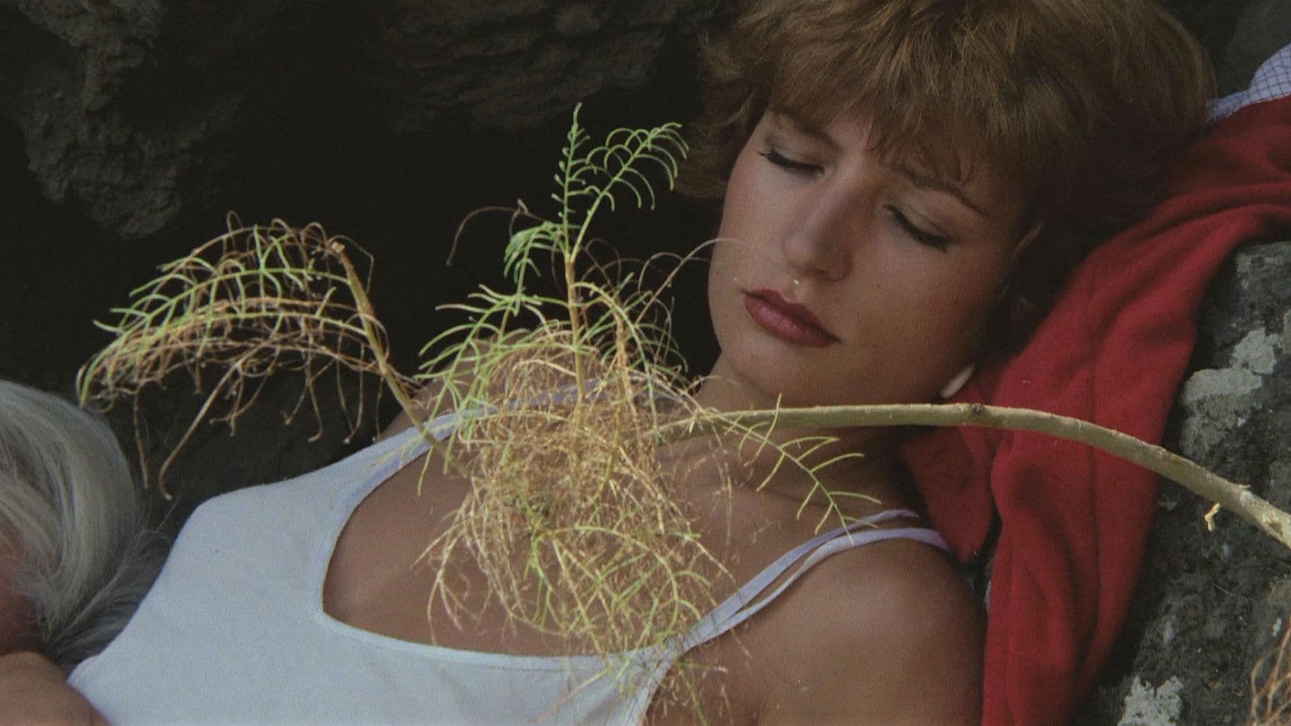 Diamonds of Kilimandjaro