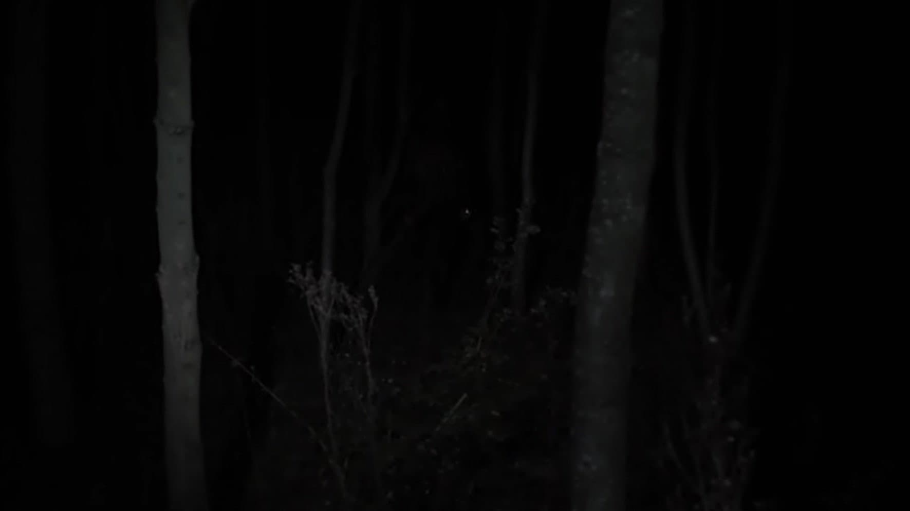 Despite the Night