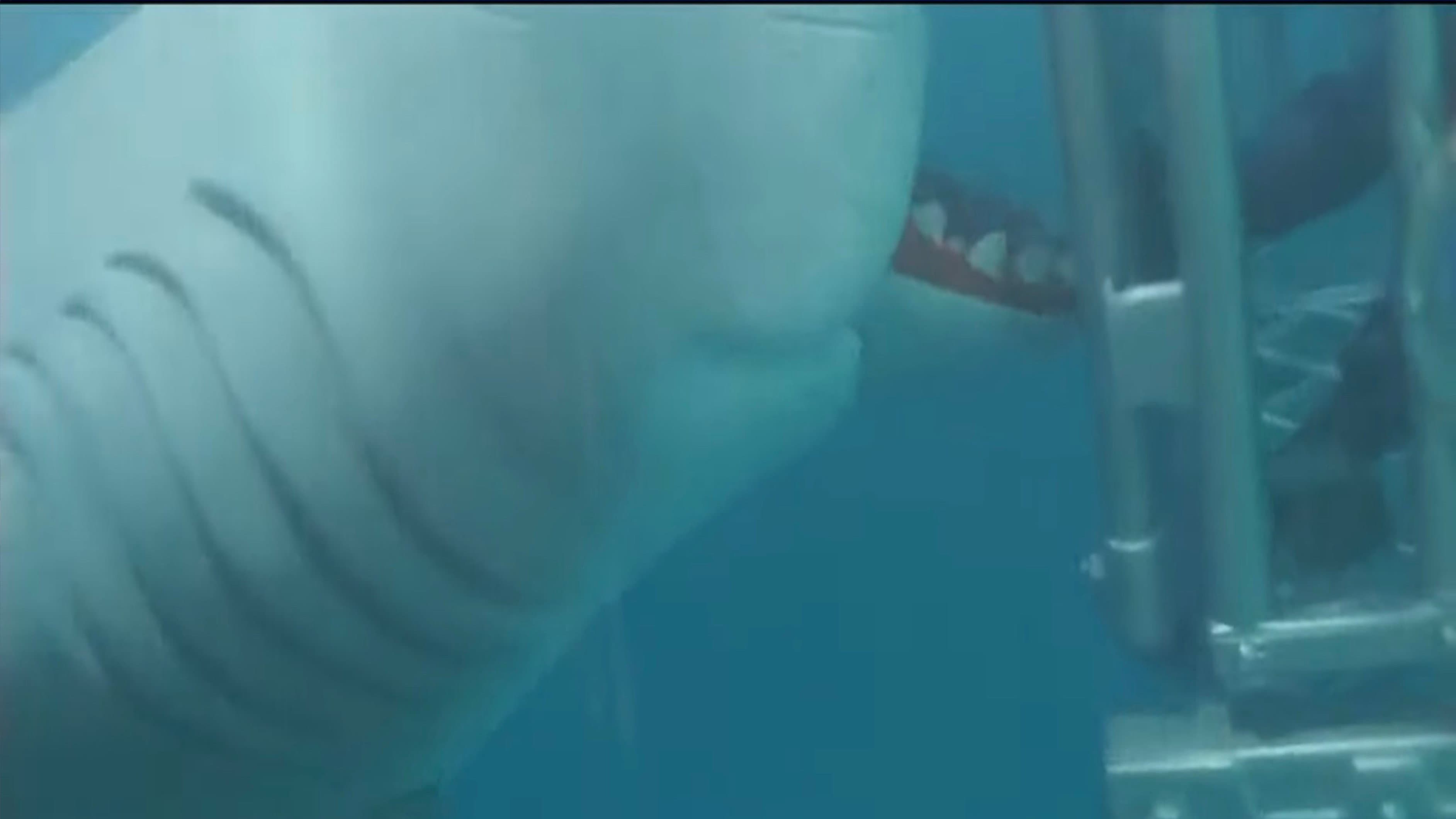 Jaws Toy Movie
