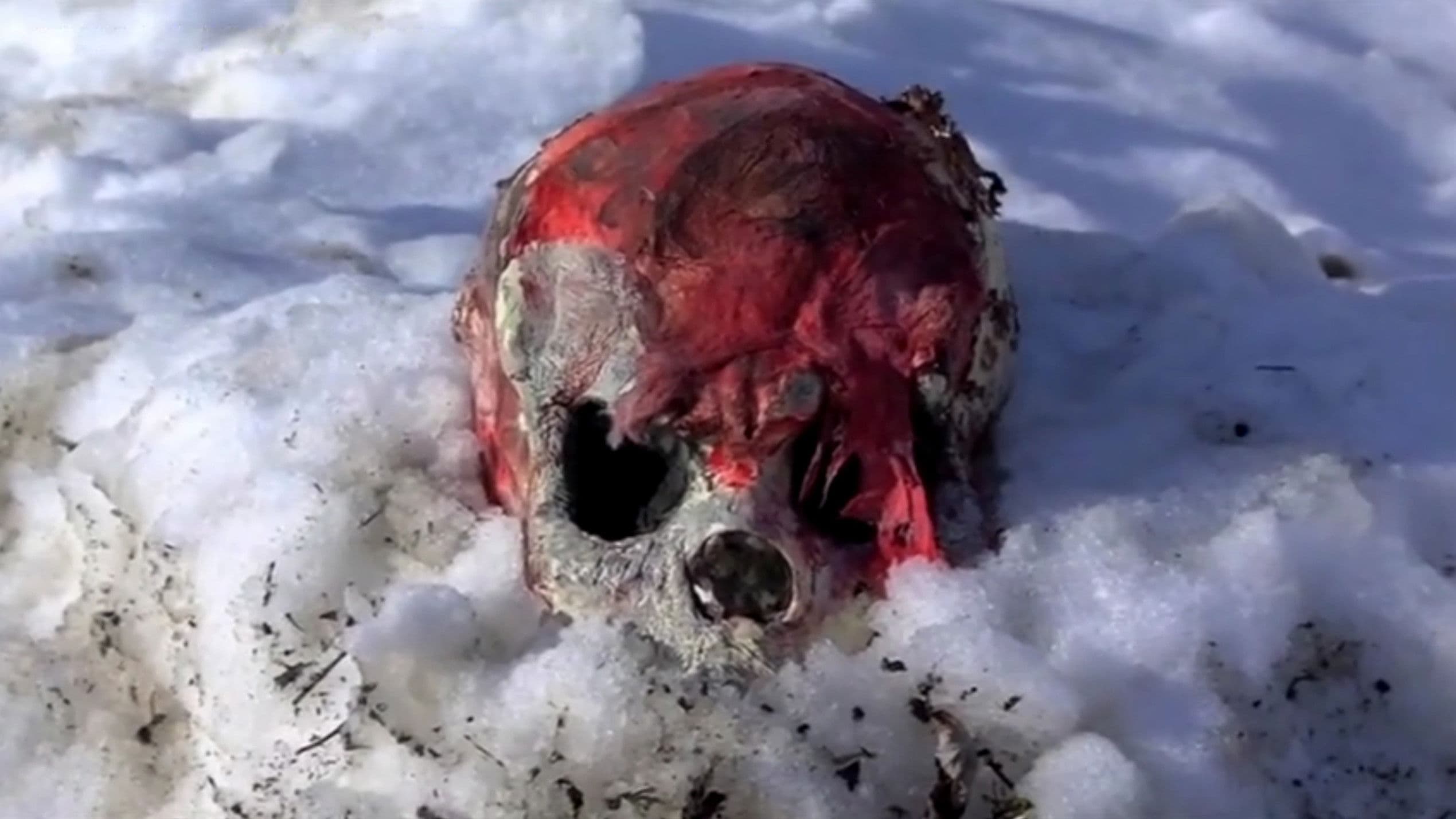 Camp Blood First Slaughter