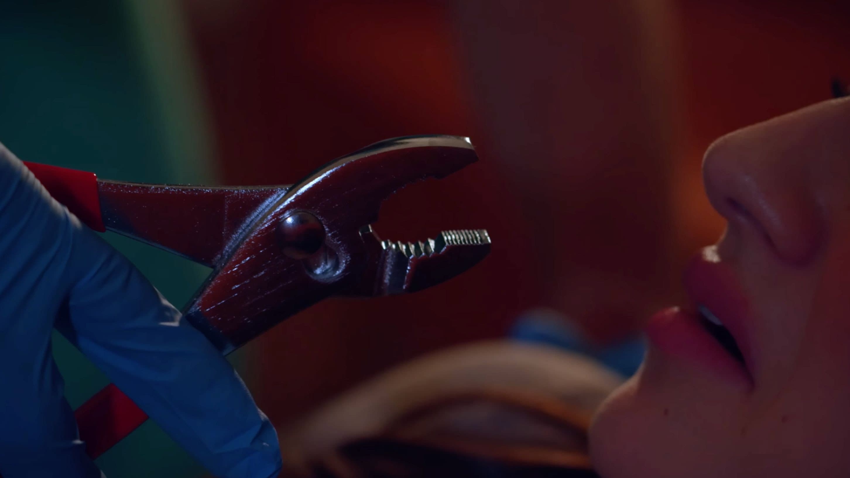 The Dentist