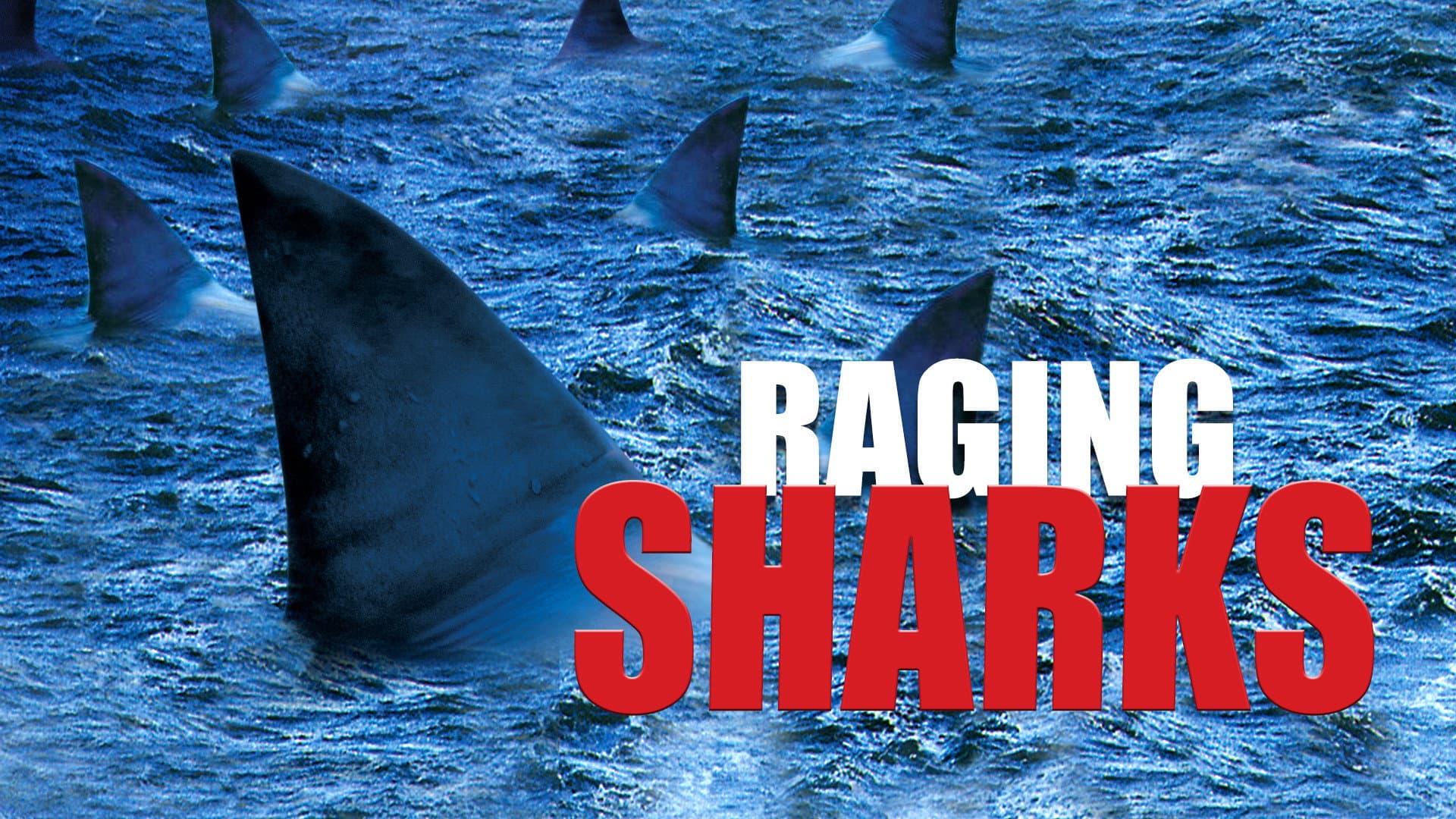Raging Sharks