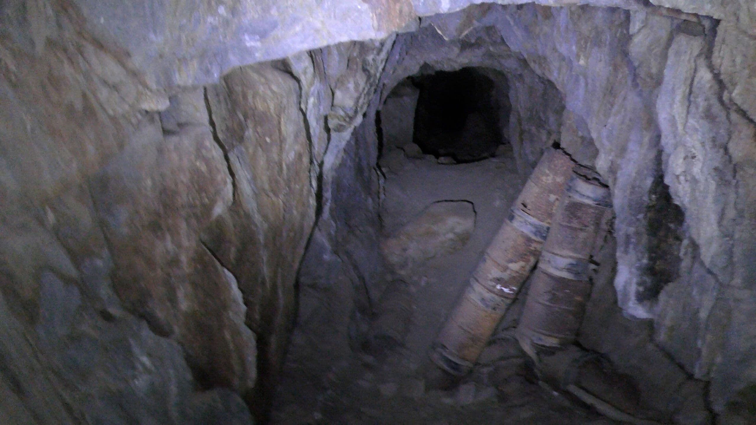 The Wilderness Tapes: Volume One