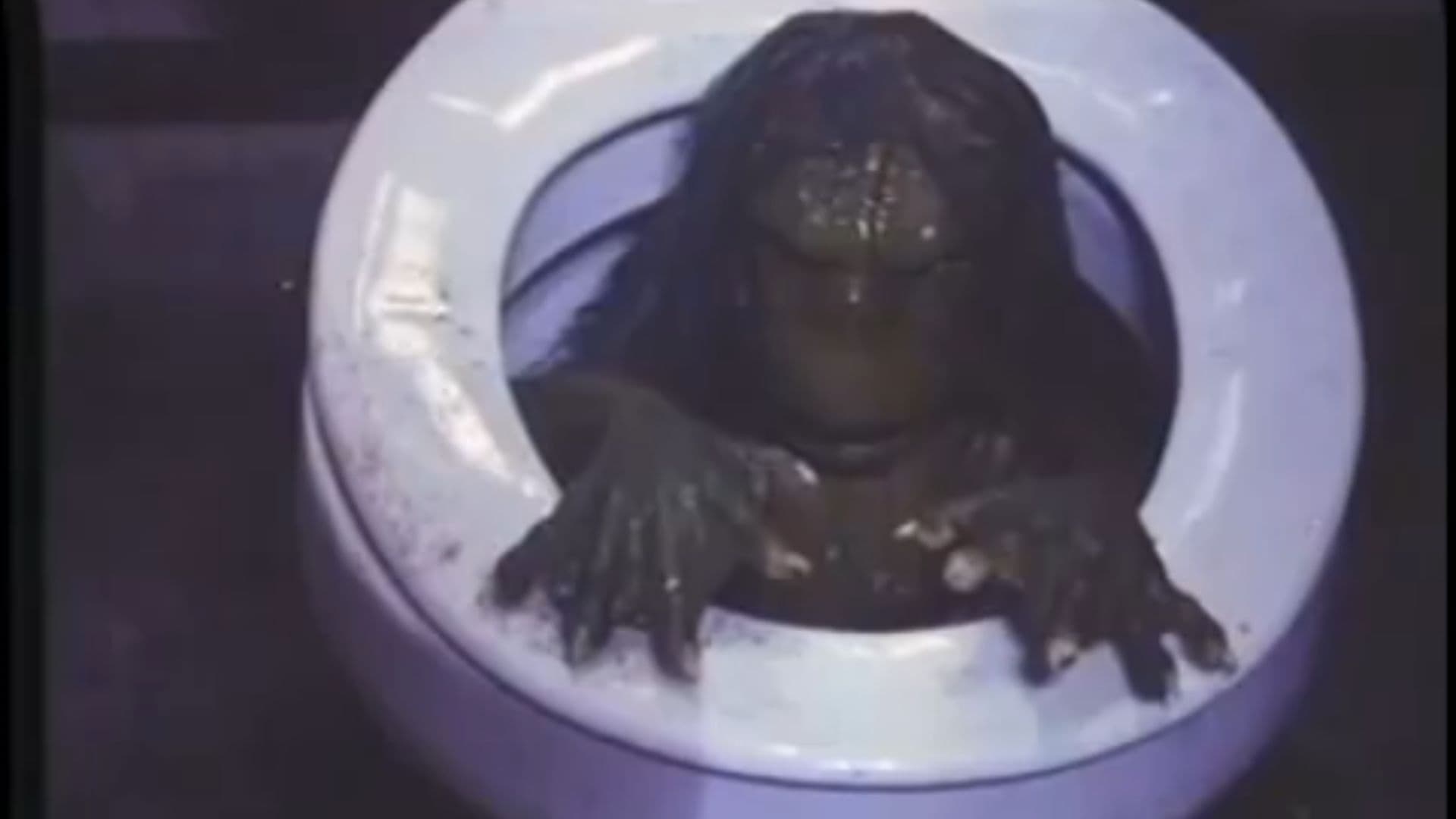 Shake, Rattle & Roll III