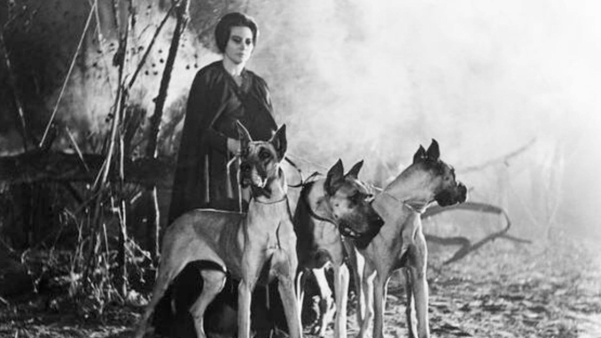 The Curse of the Crying Woman