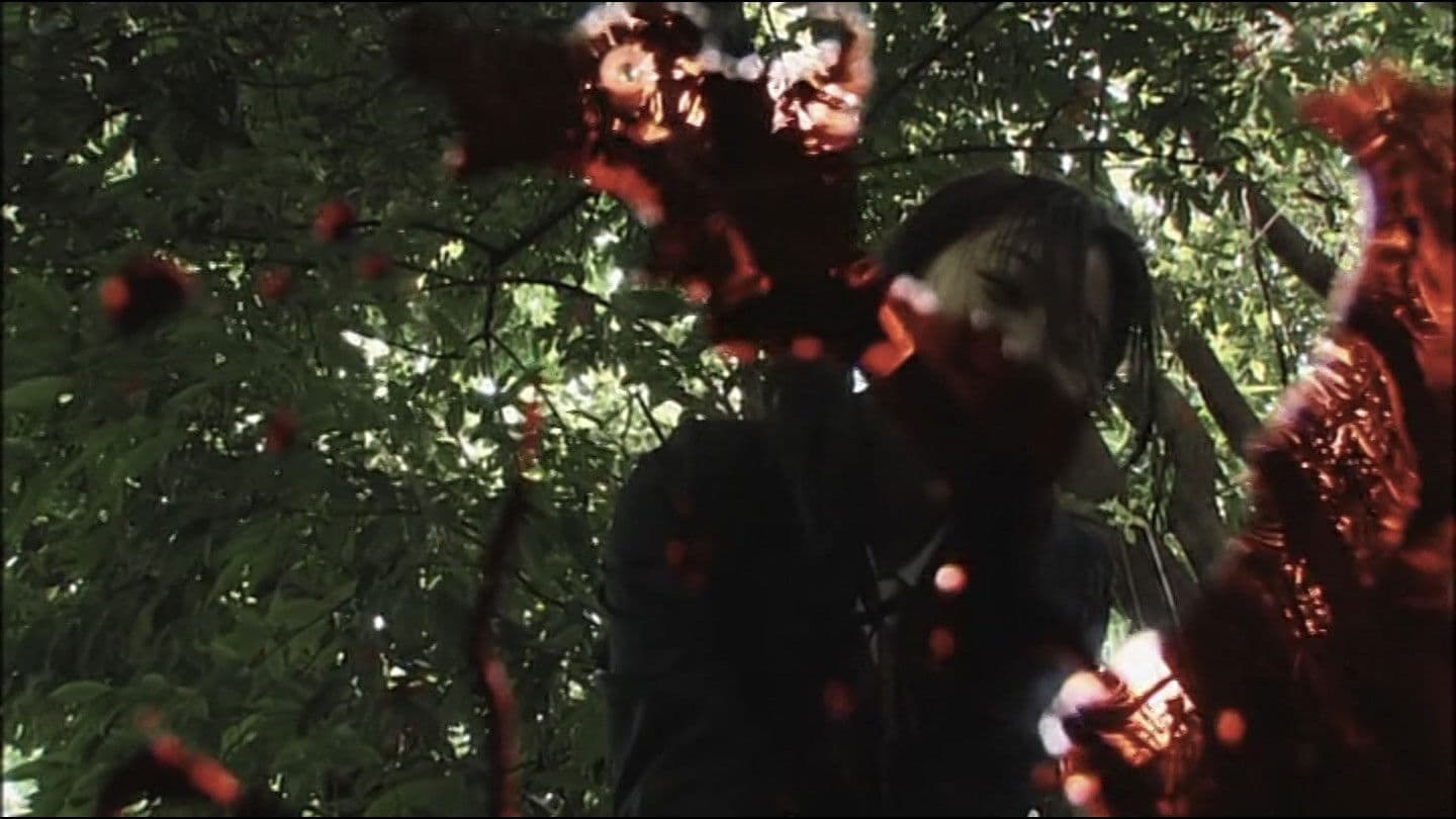 Bite Me If You Love Me