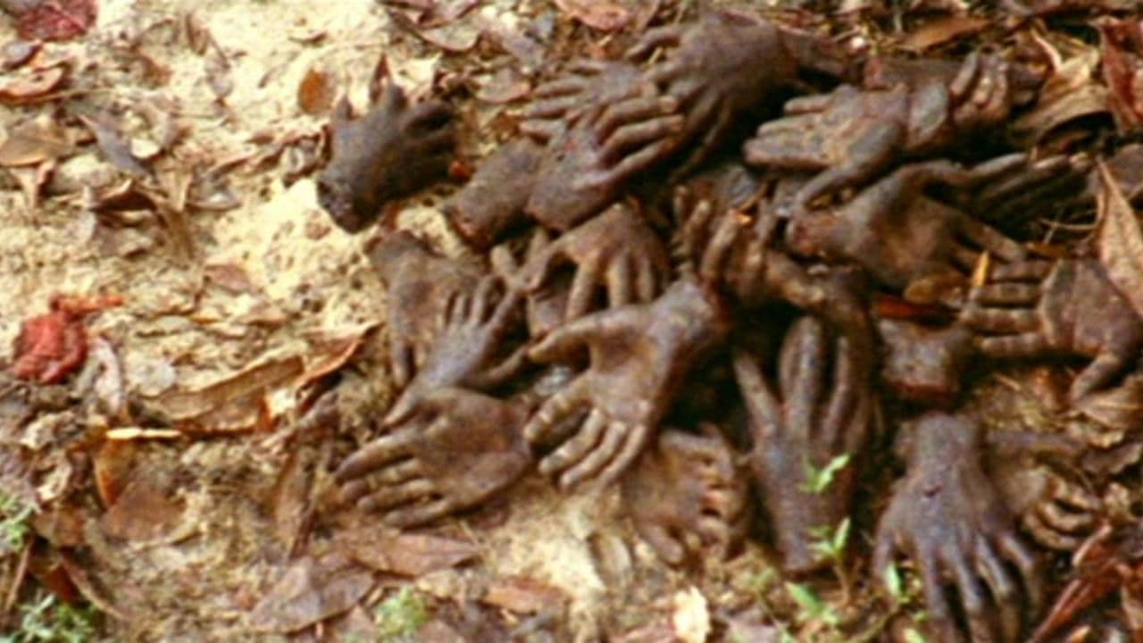 Africa Blood and Guts