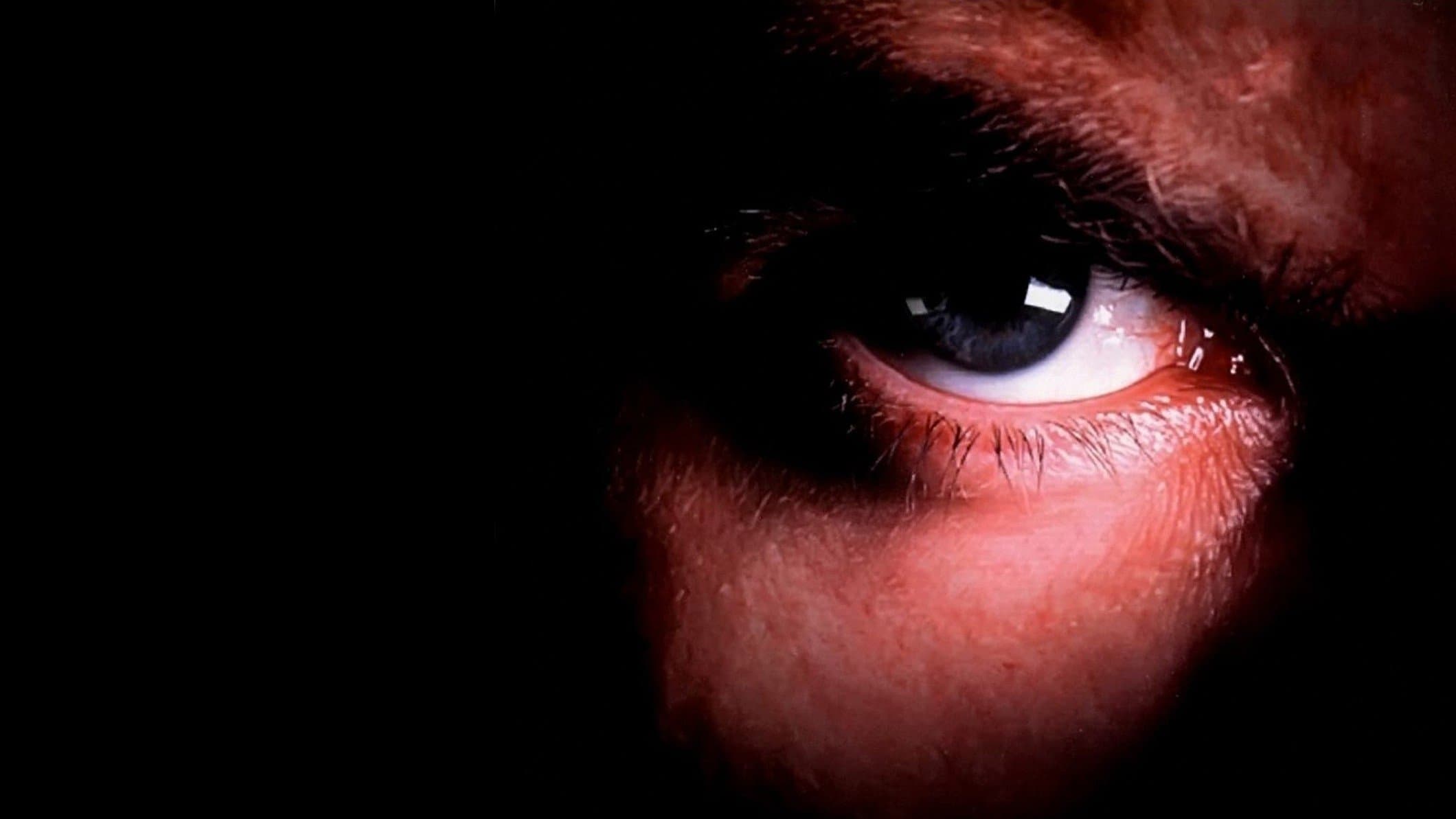 Possessed by the Night