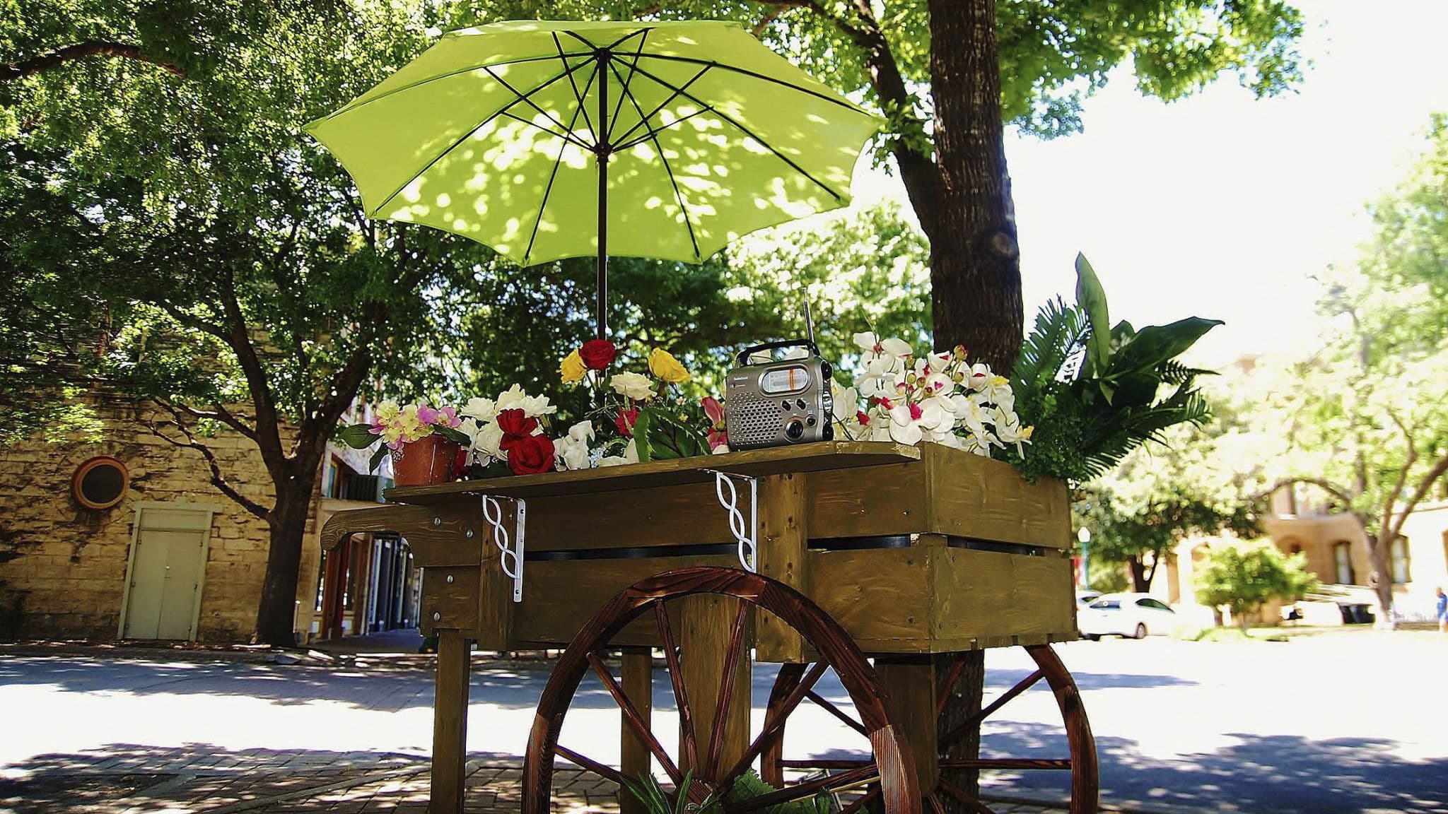 The Man Who Loved Flowers