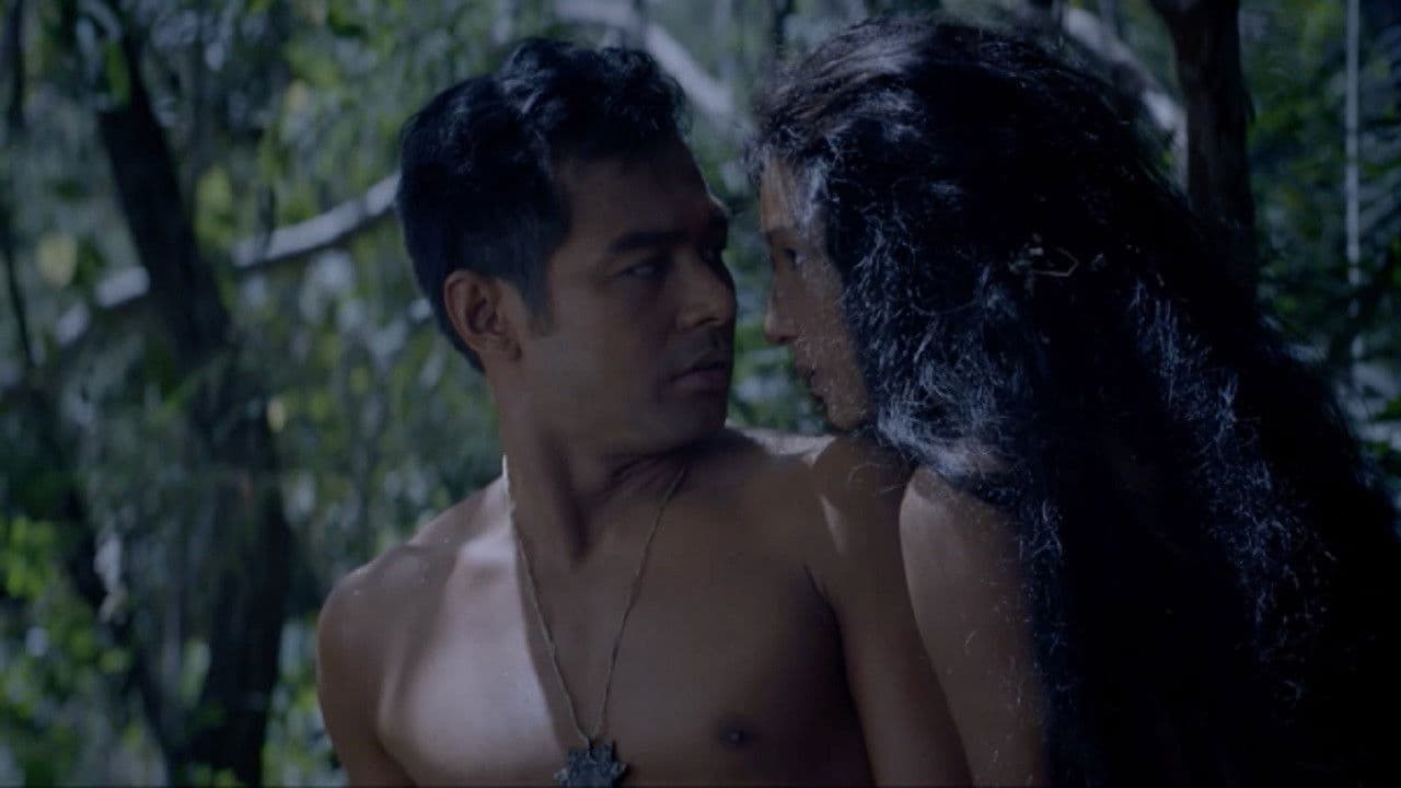 Mystery of the Night