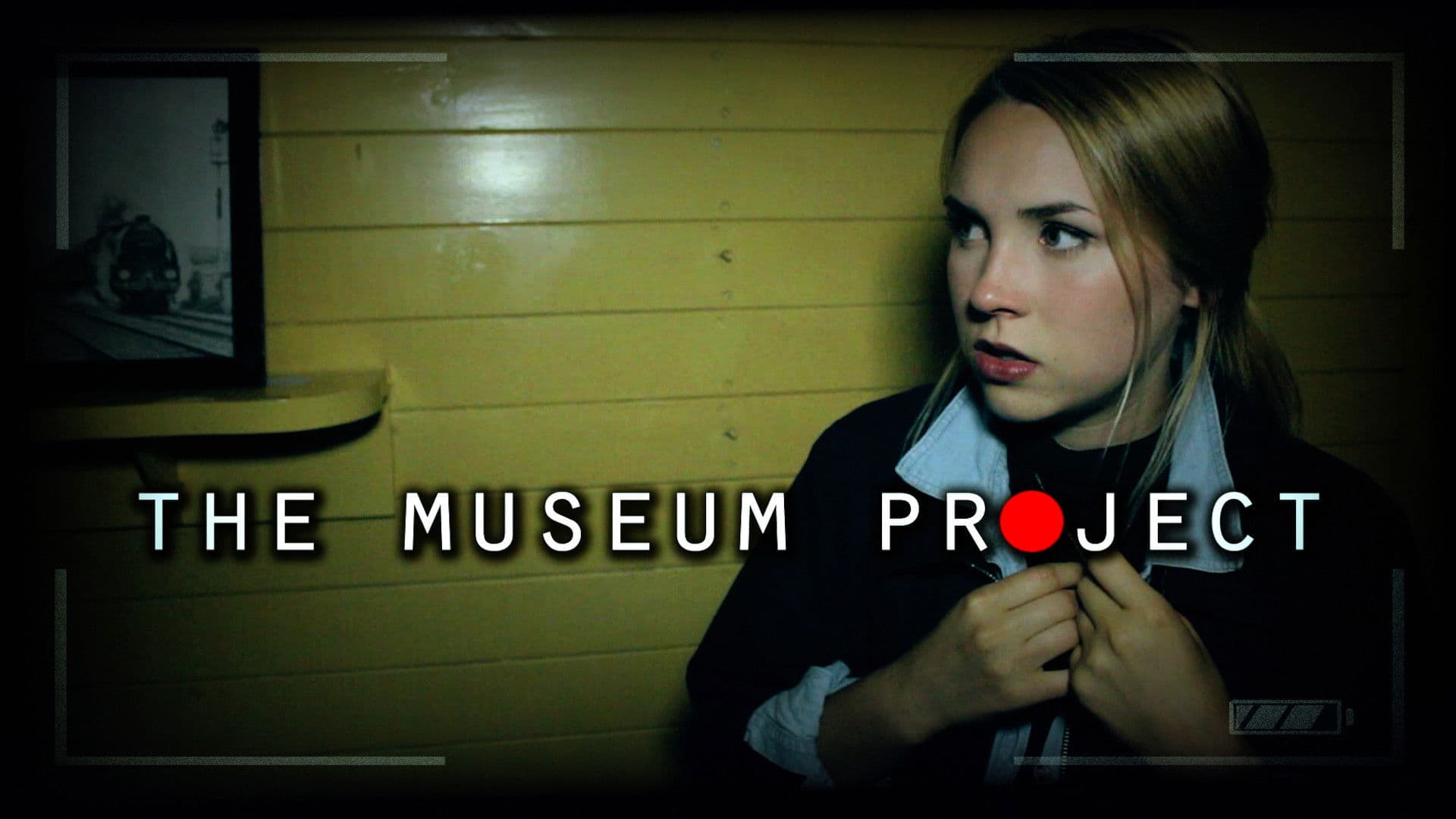 The Museum Project