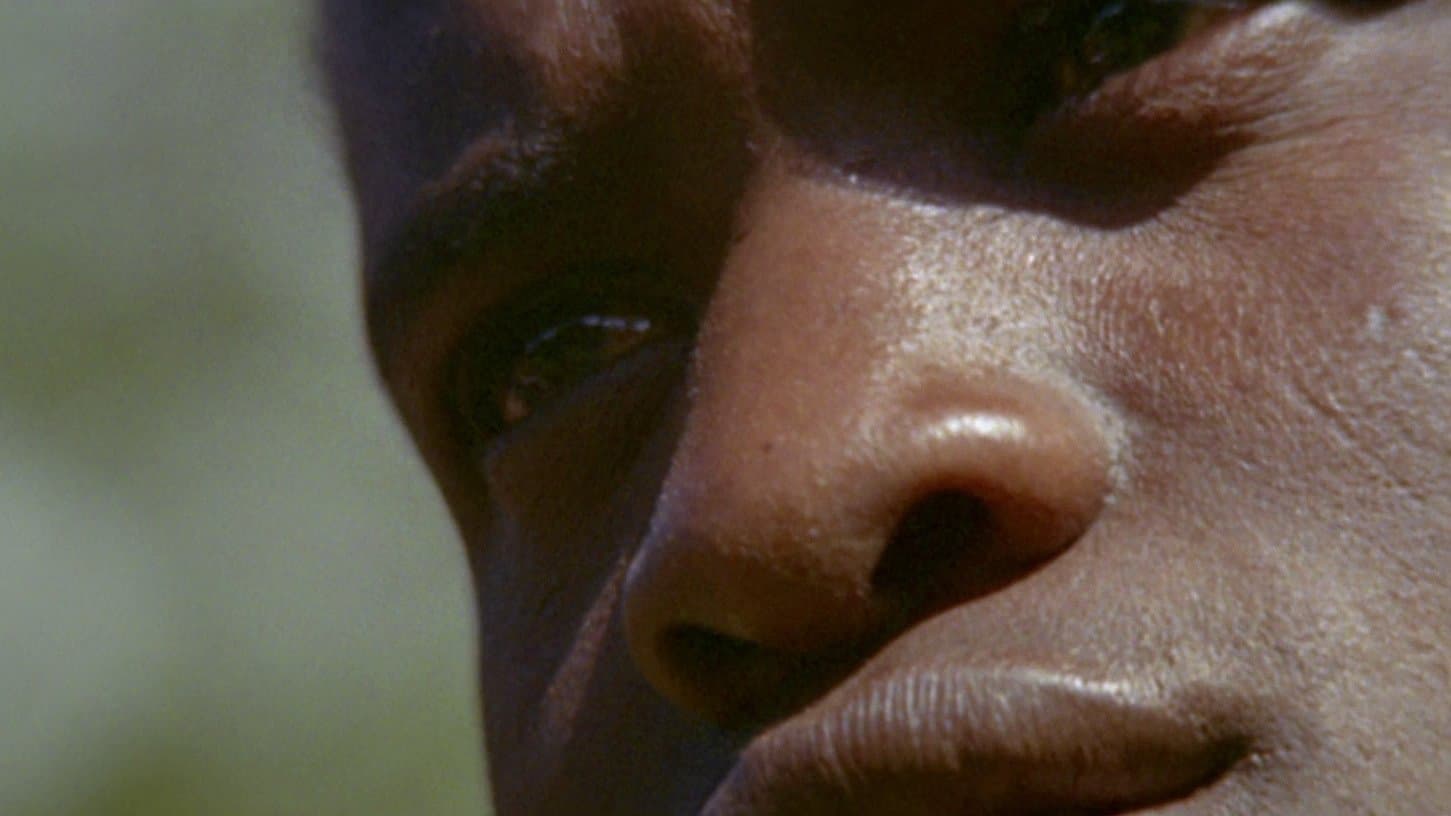 Africa Blood and Guts