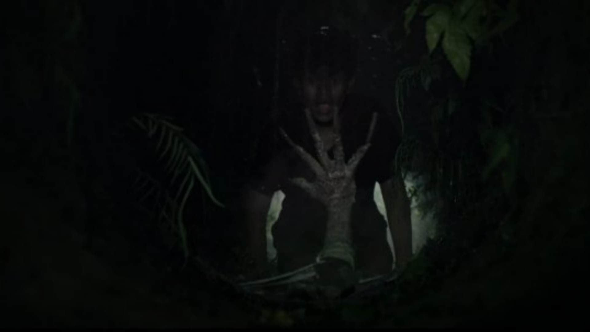 The Wailing of the Maghrib 2