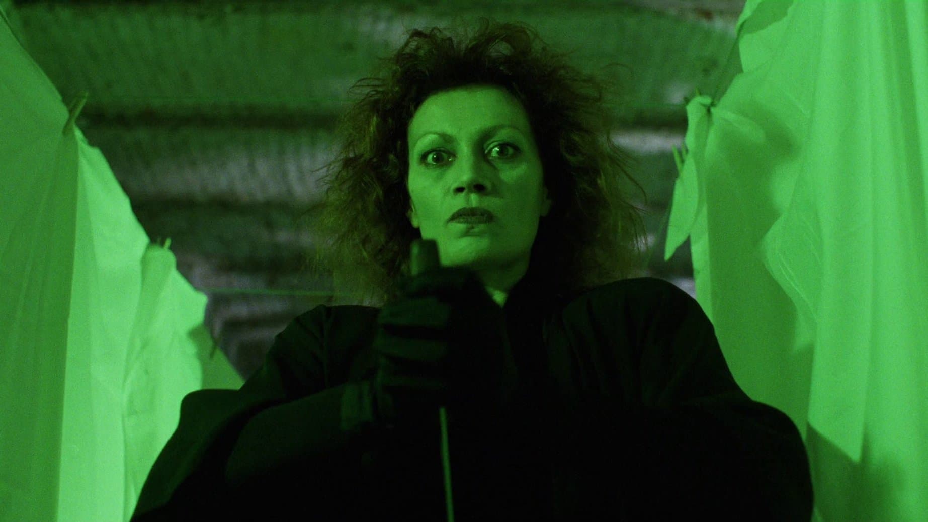 The Spider Labyrinth