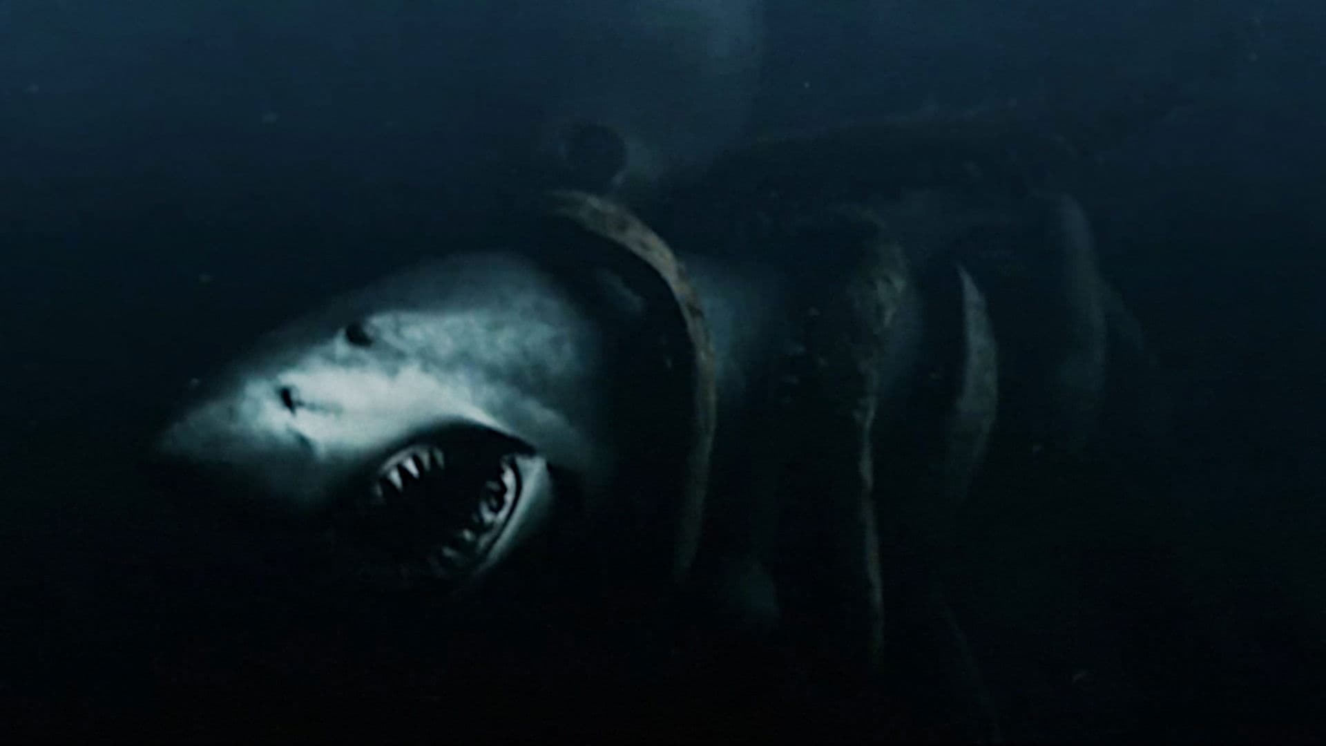 Mega Shark vs. Giant Octopus