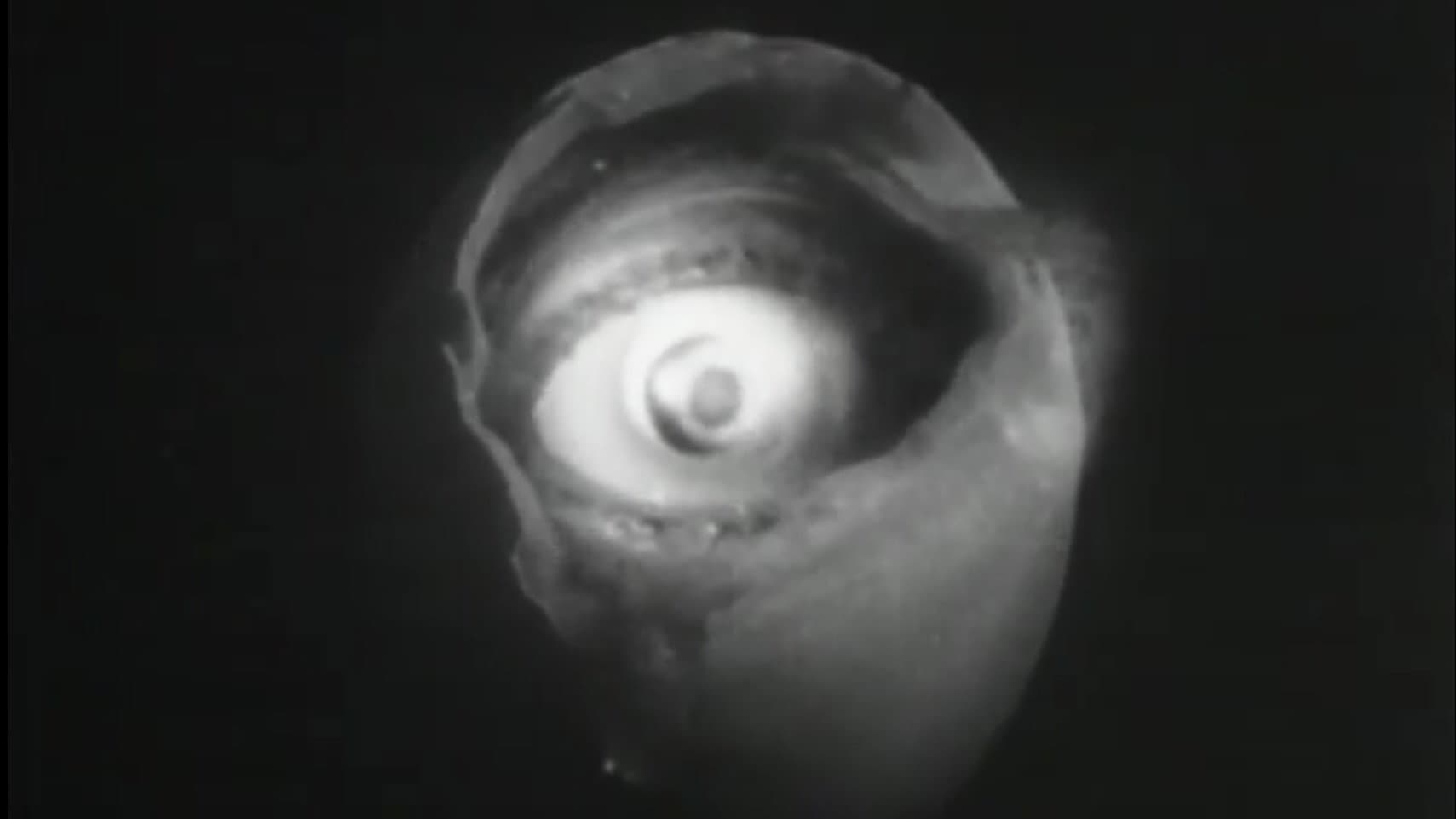 The Tell-Tale Heart