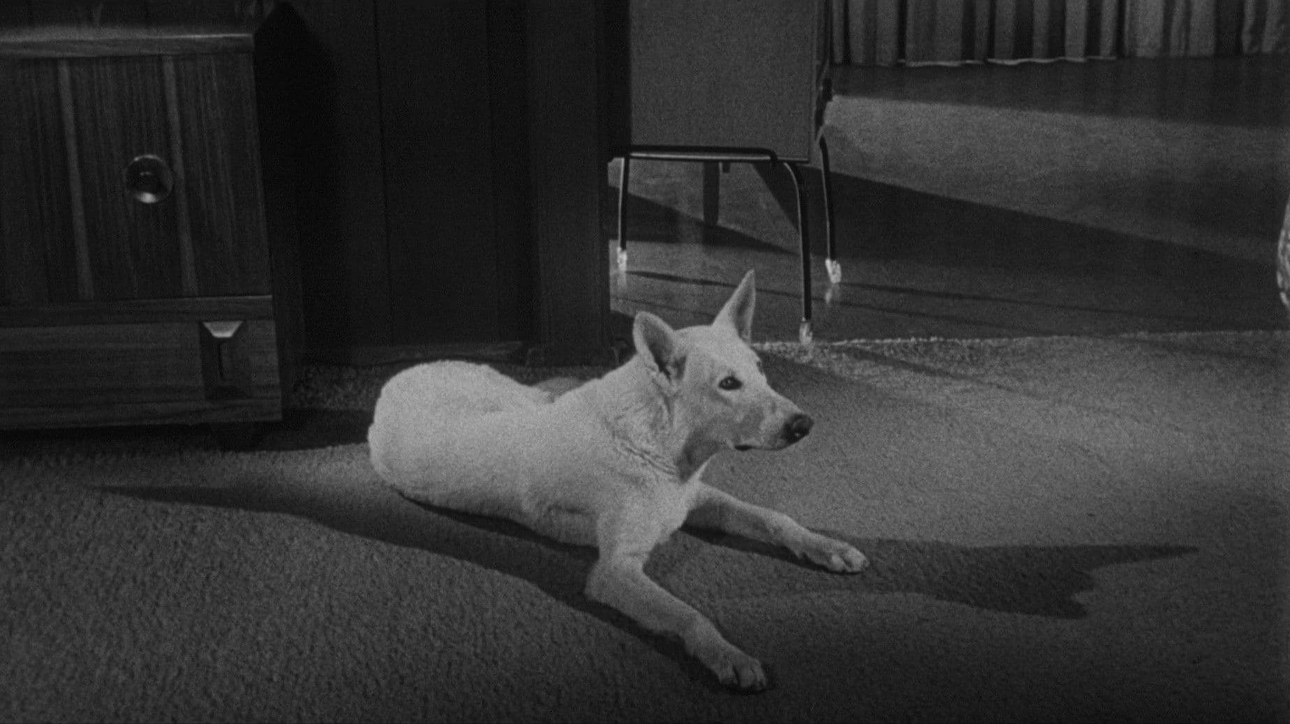 The Brain from Planet Arous