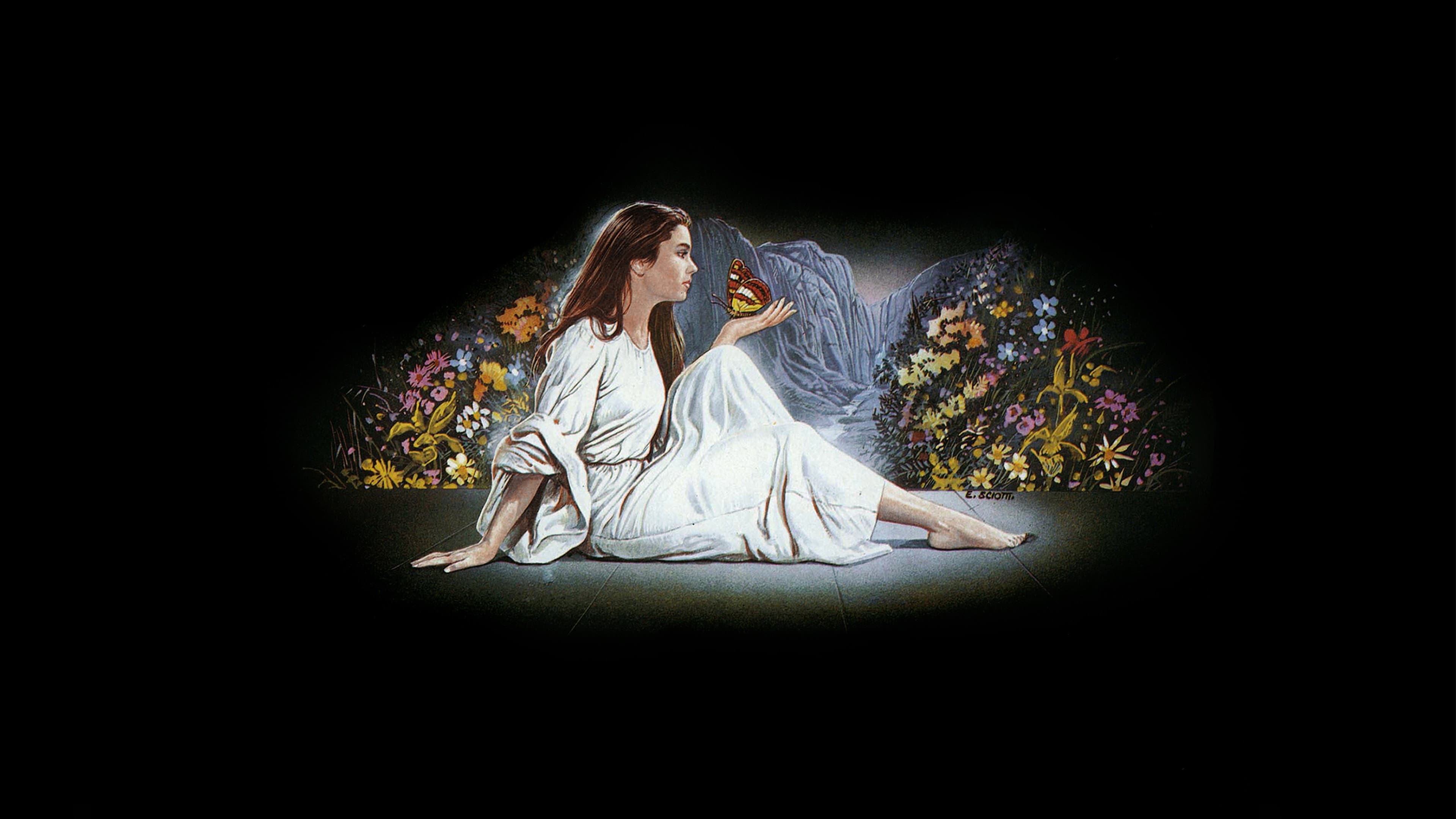 Phenomena